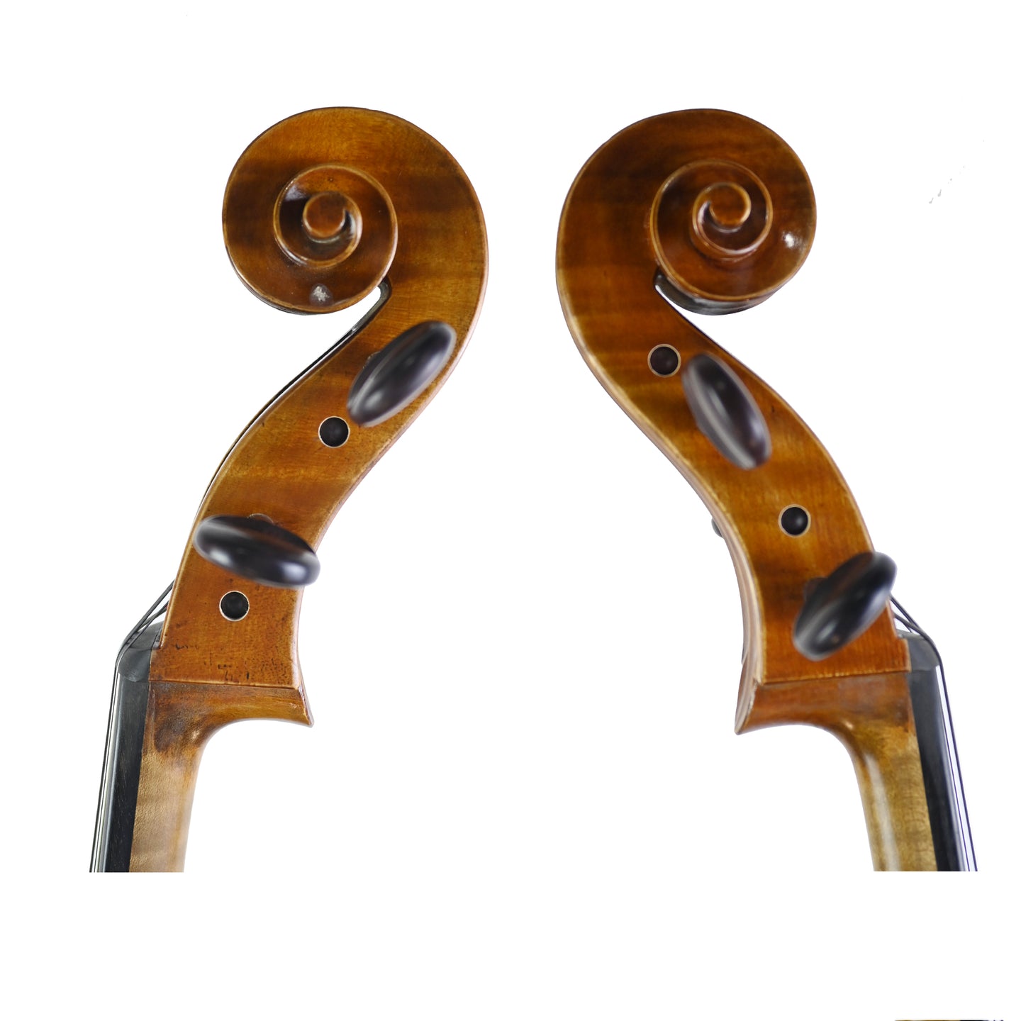 7024 professional cello scroll