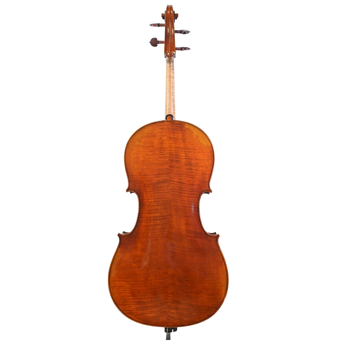 7025 professional cello back