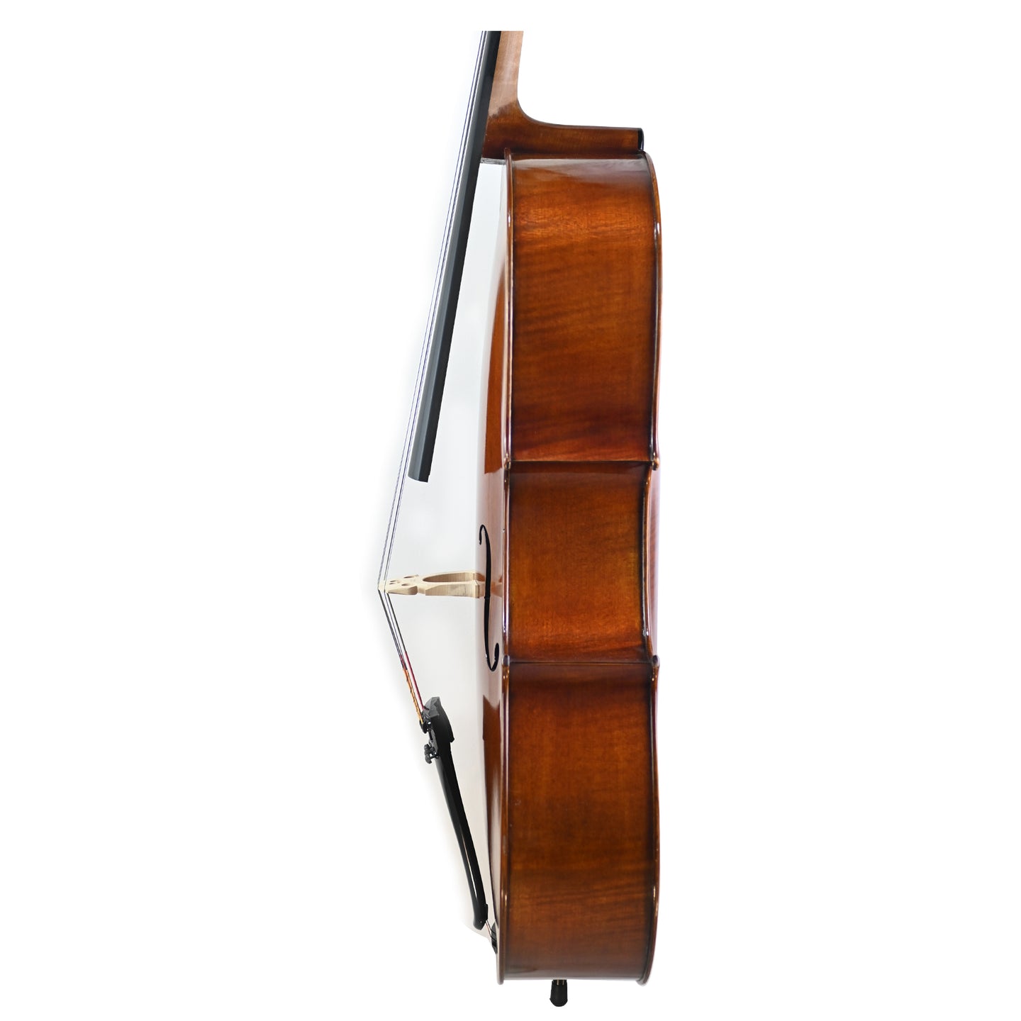 7025 professional cello left rib