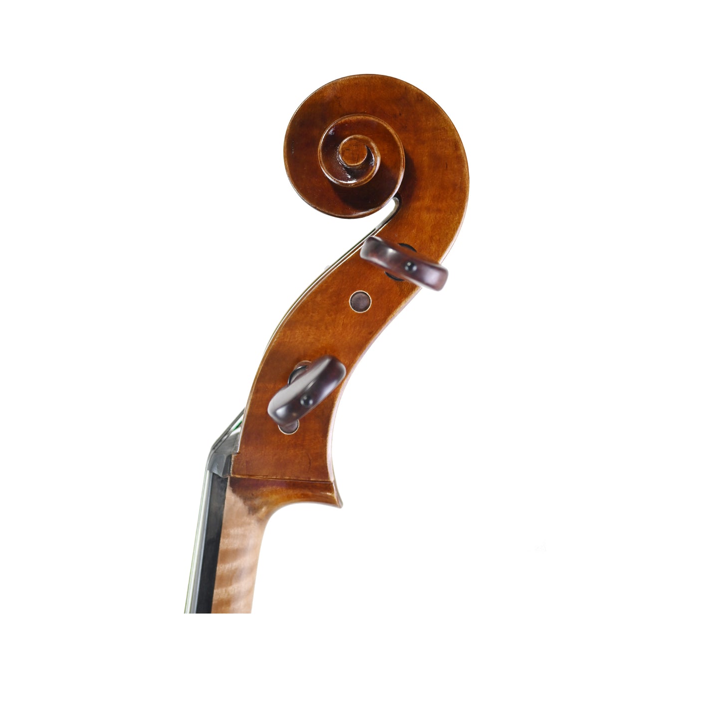 7025 professional cello left scroll