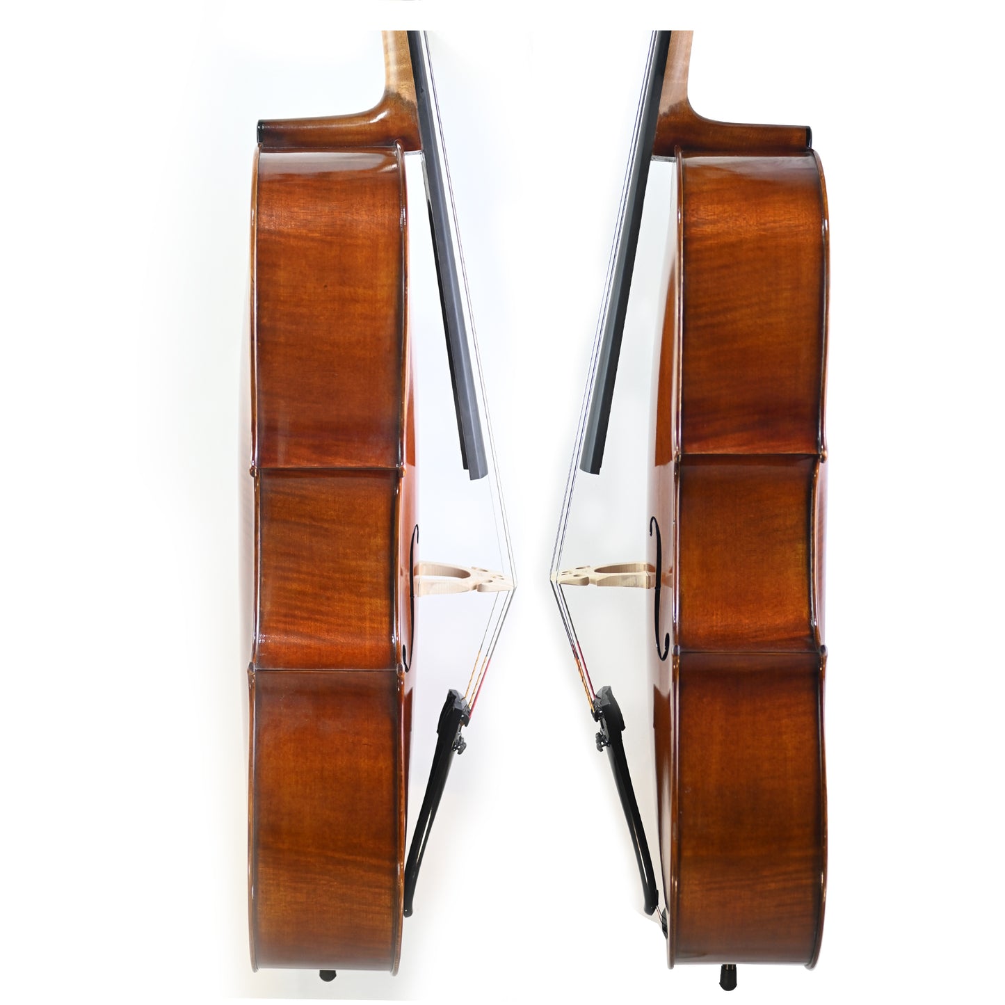 7025 professional cello rib