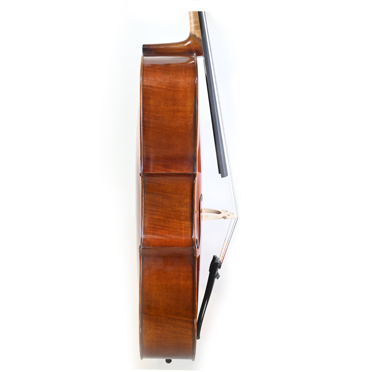 7025 professional cello right rib