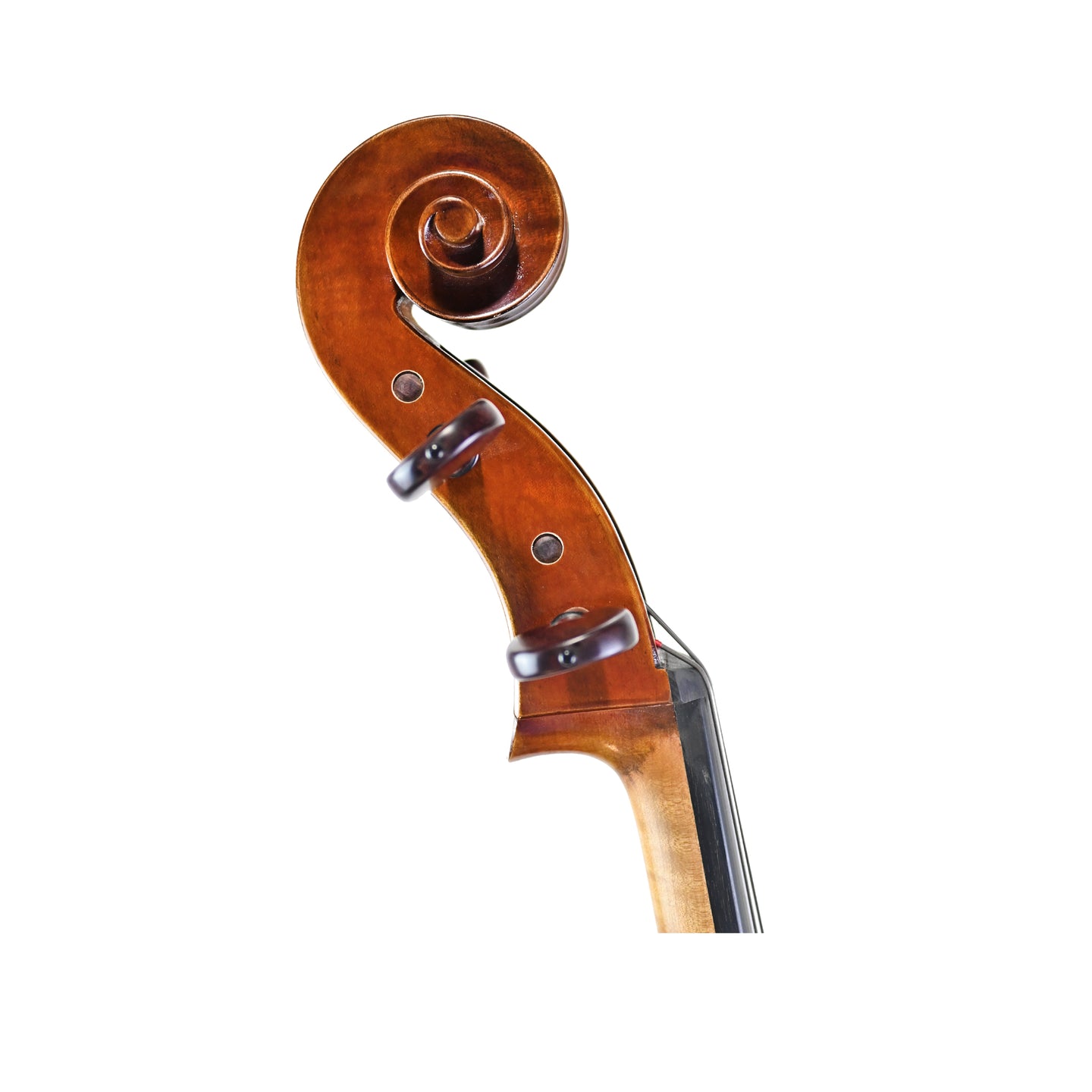 7025 professional cello right scroll