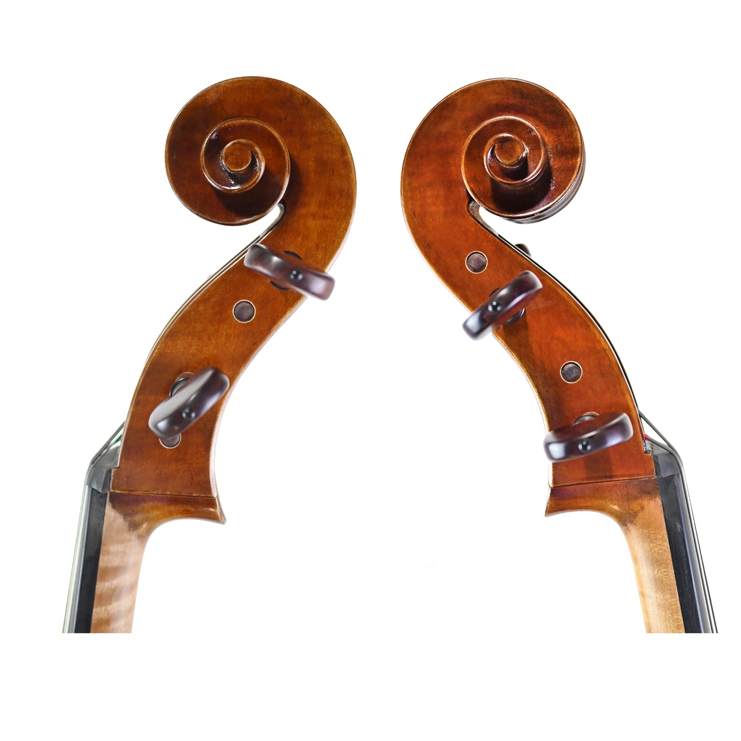 7025 professional cello scroll