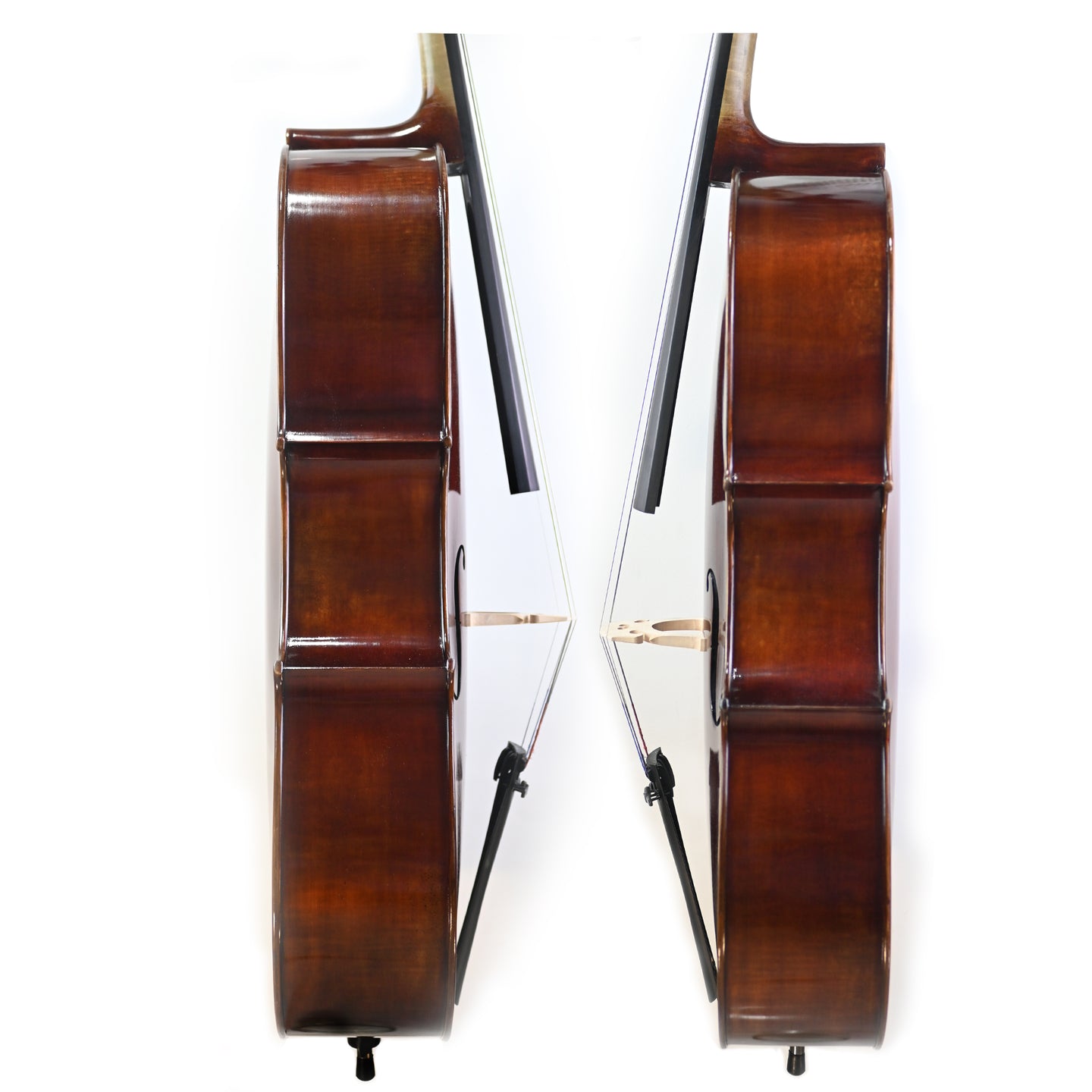 7026 beginner cello rib