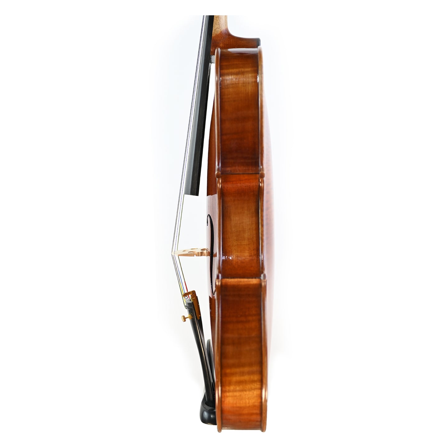 7027 intermediate viola left rib