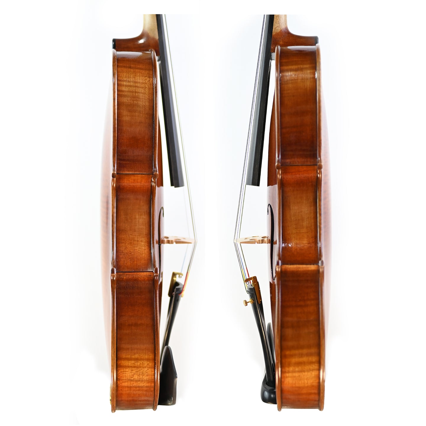 7027 intermediate viola rib