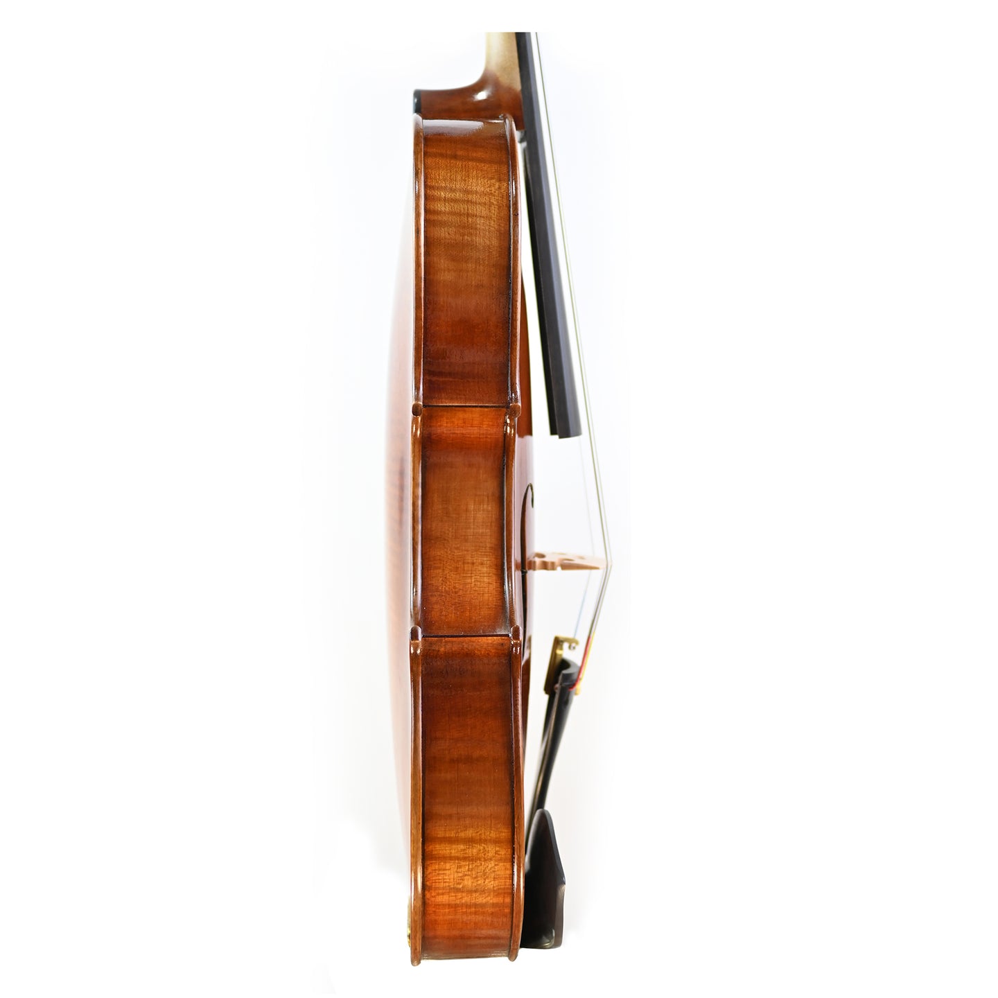 7027 intermediate viola right rib