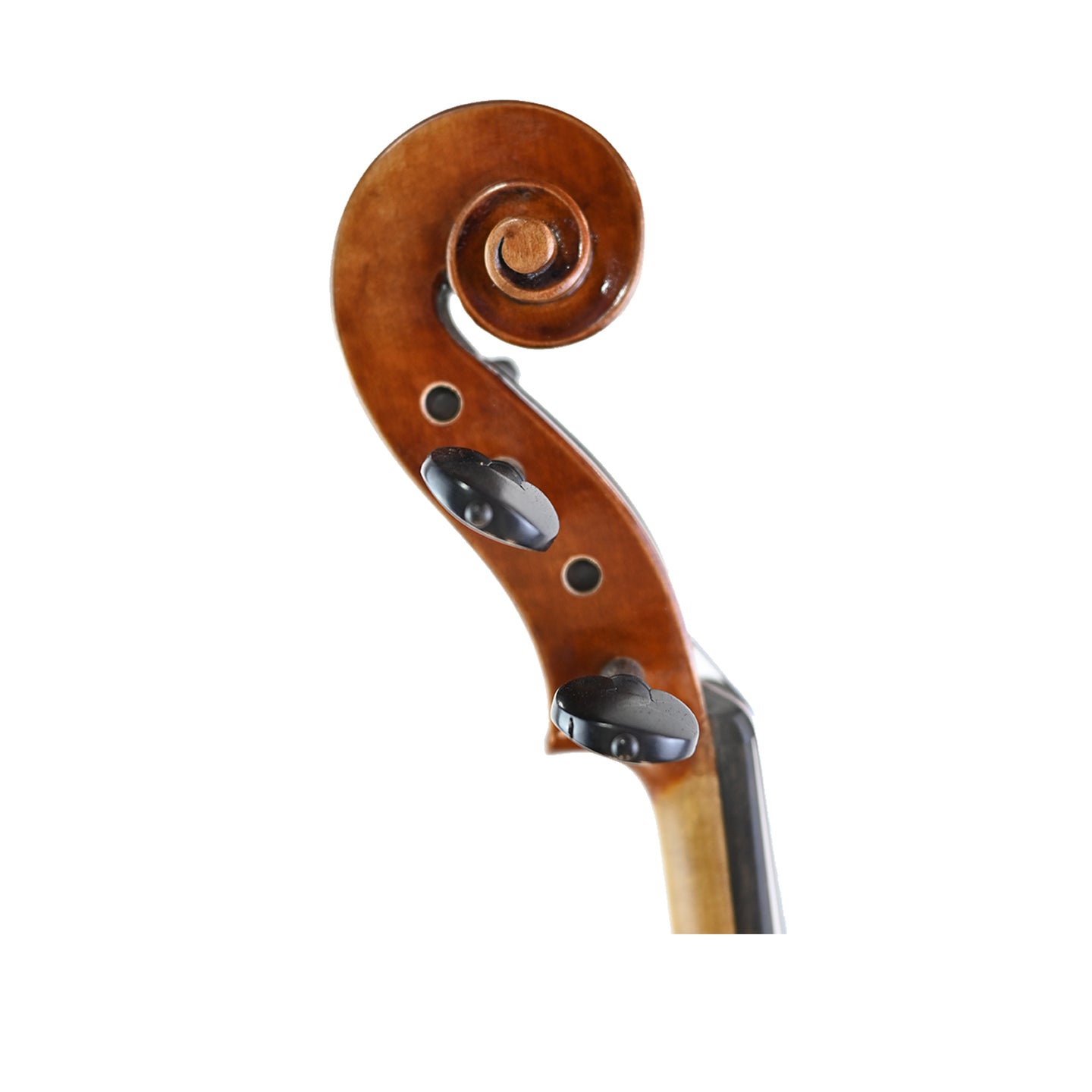 7027 intermediate viola right scroll