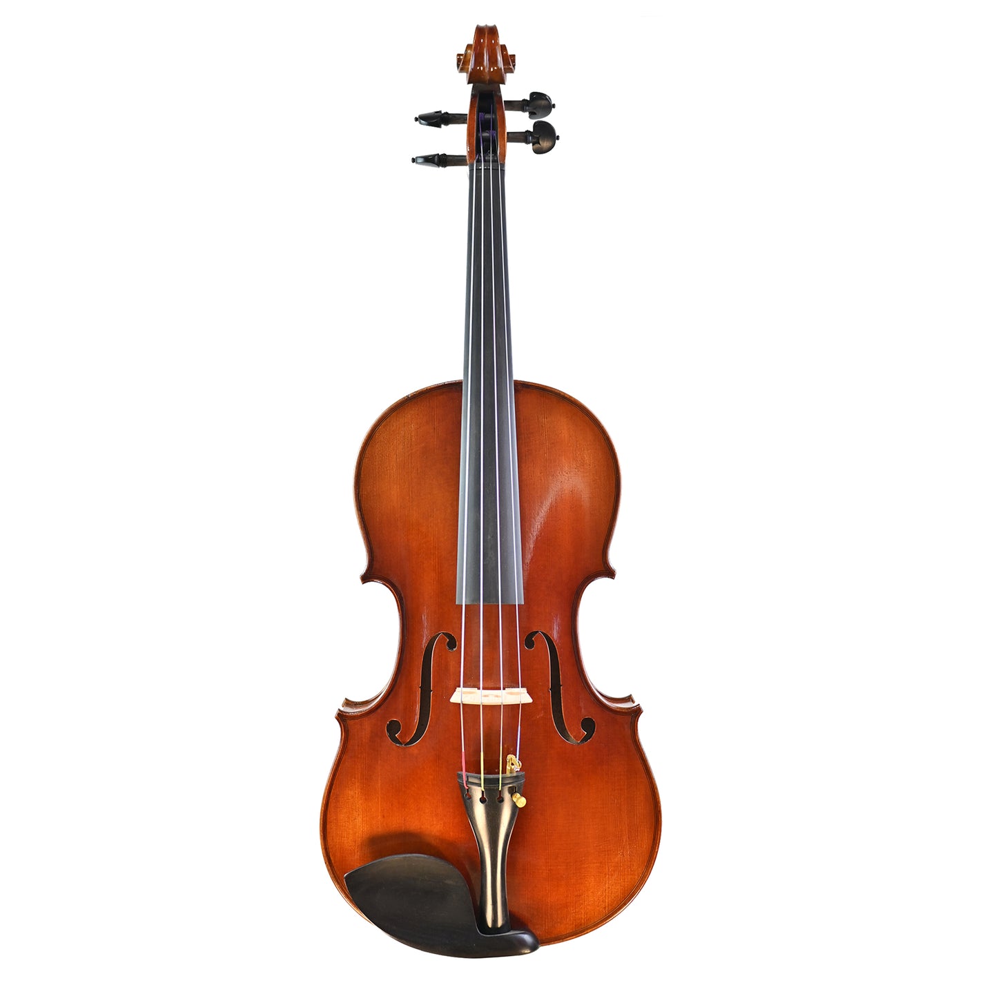 7027 intermediate viola front