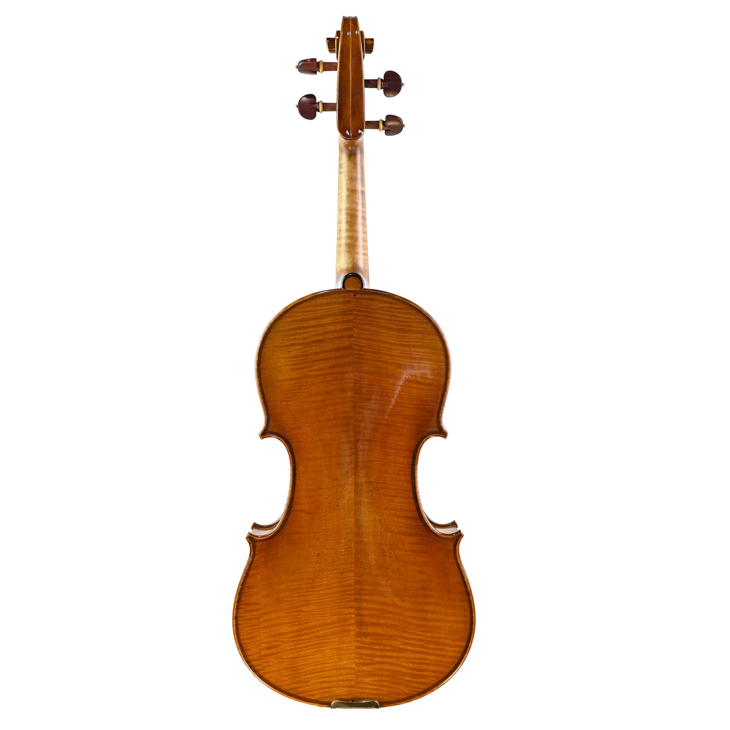 7028 beginner viola back