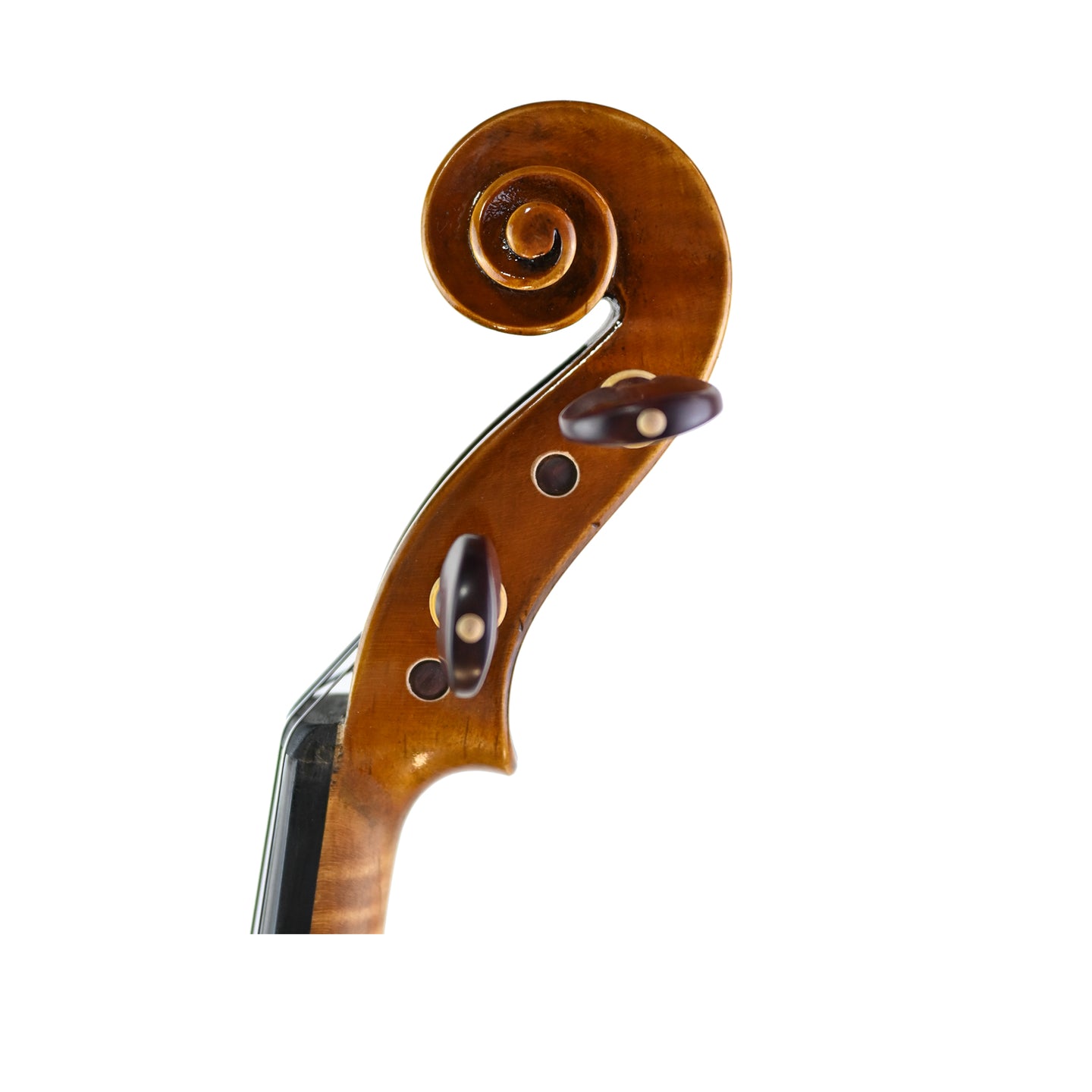 7028 beginner viola left scroll