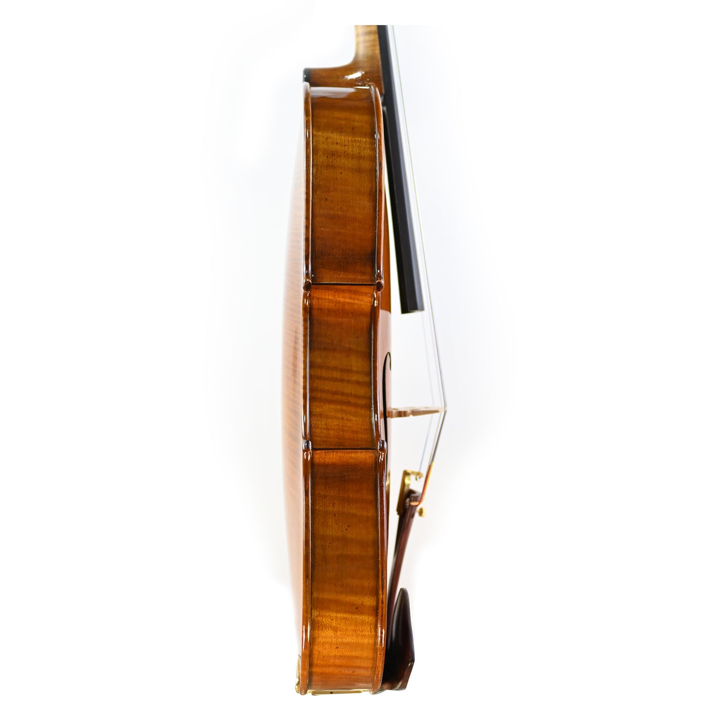 7028 beginner viola right rib