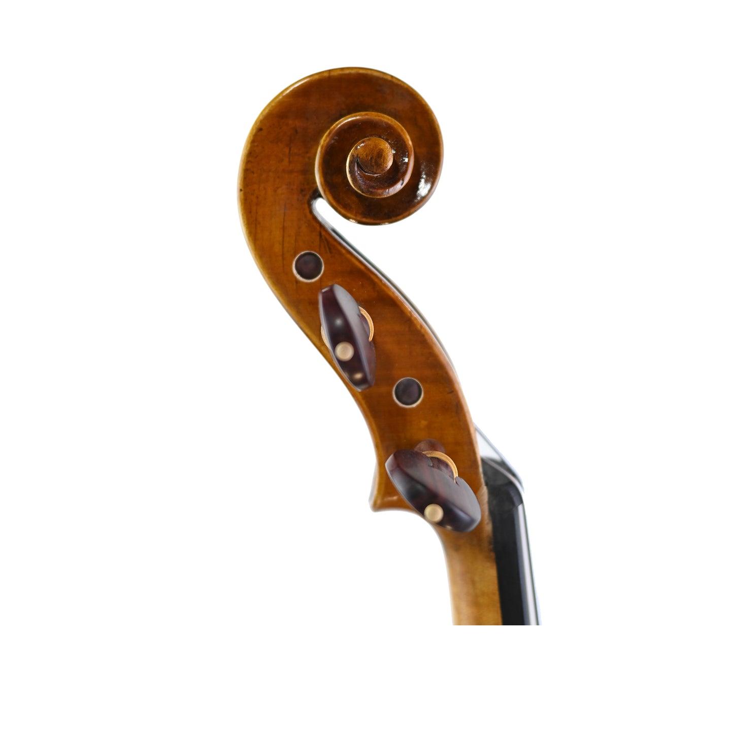 7028 beginner viola right scroll