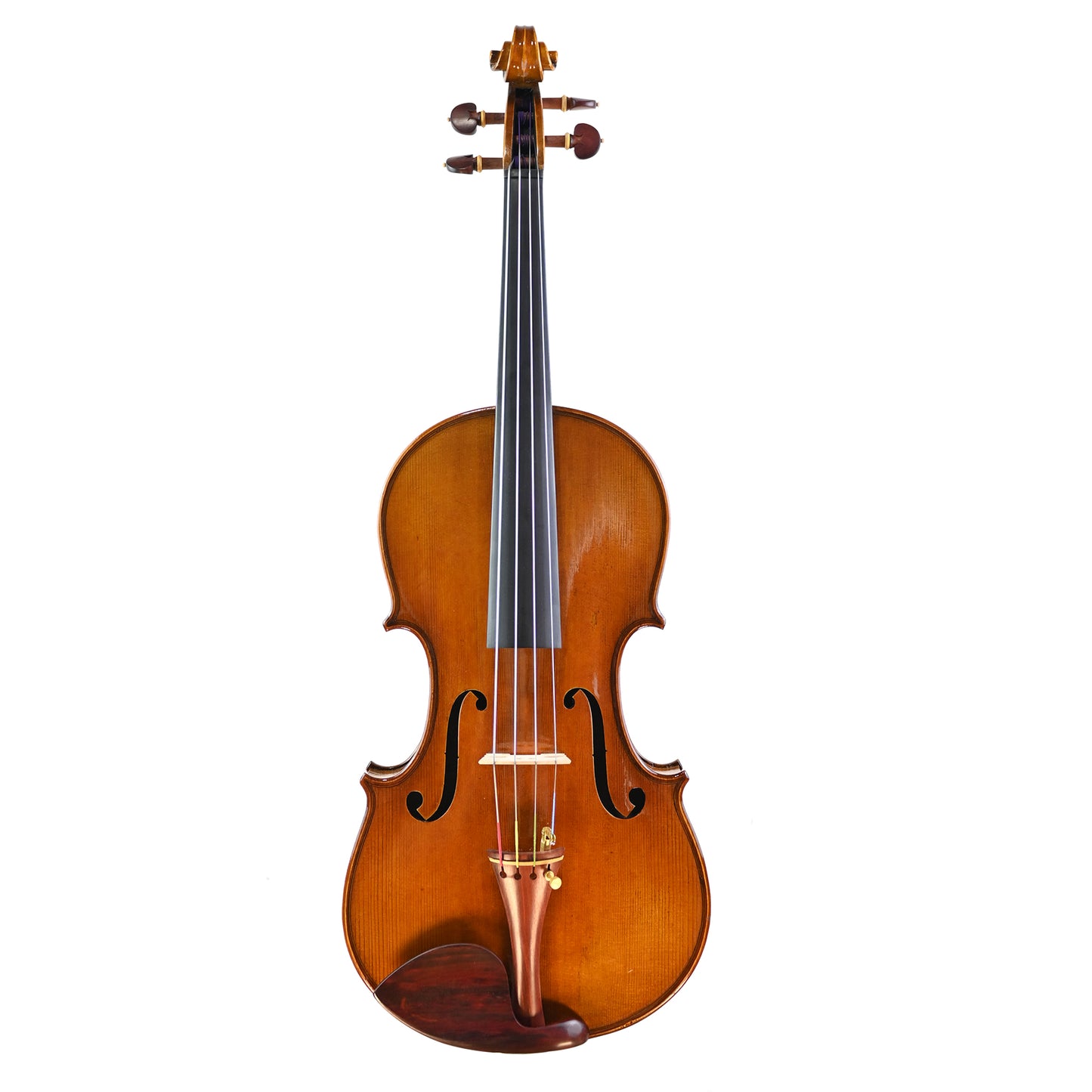 7028 beginner viola front