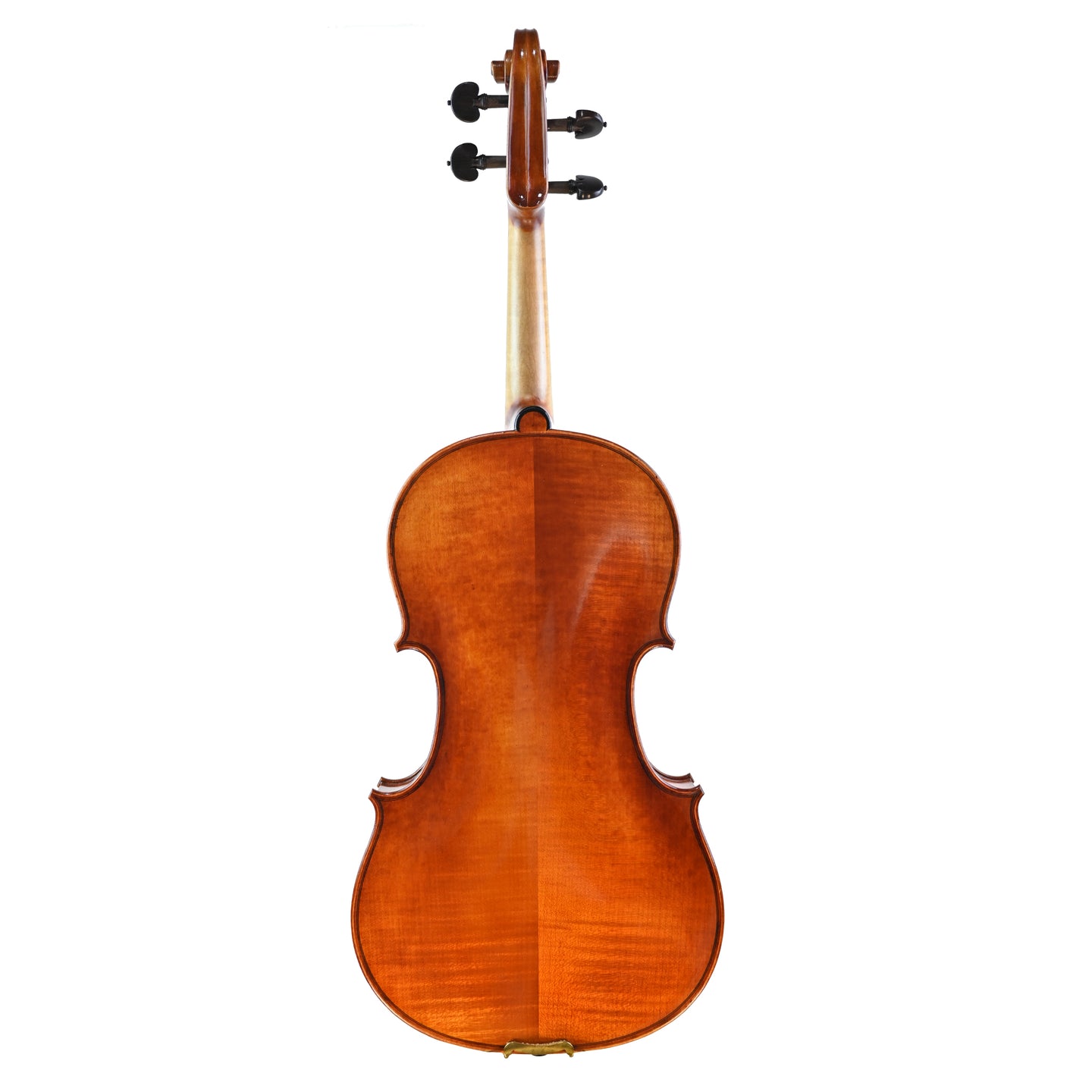 7029 intermediate viola back