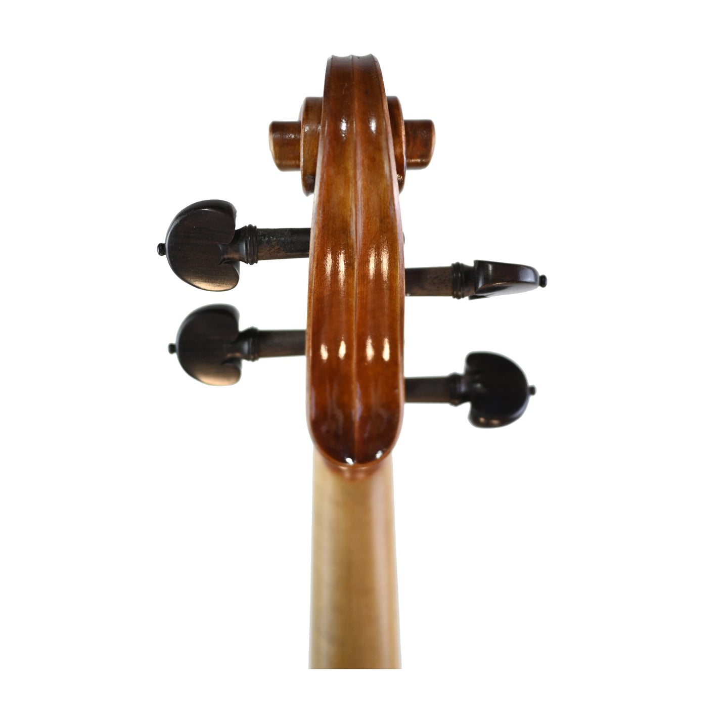 7029 intermediate viola back scroll