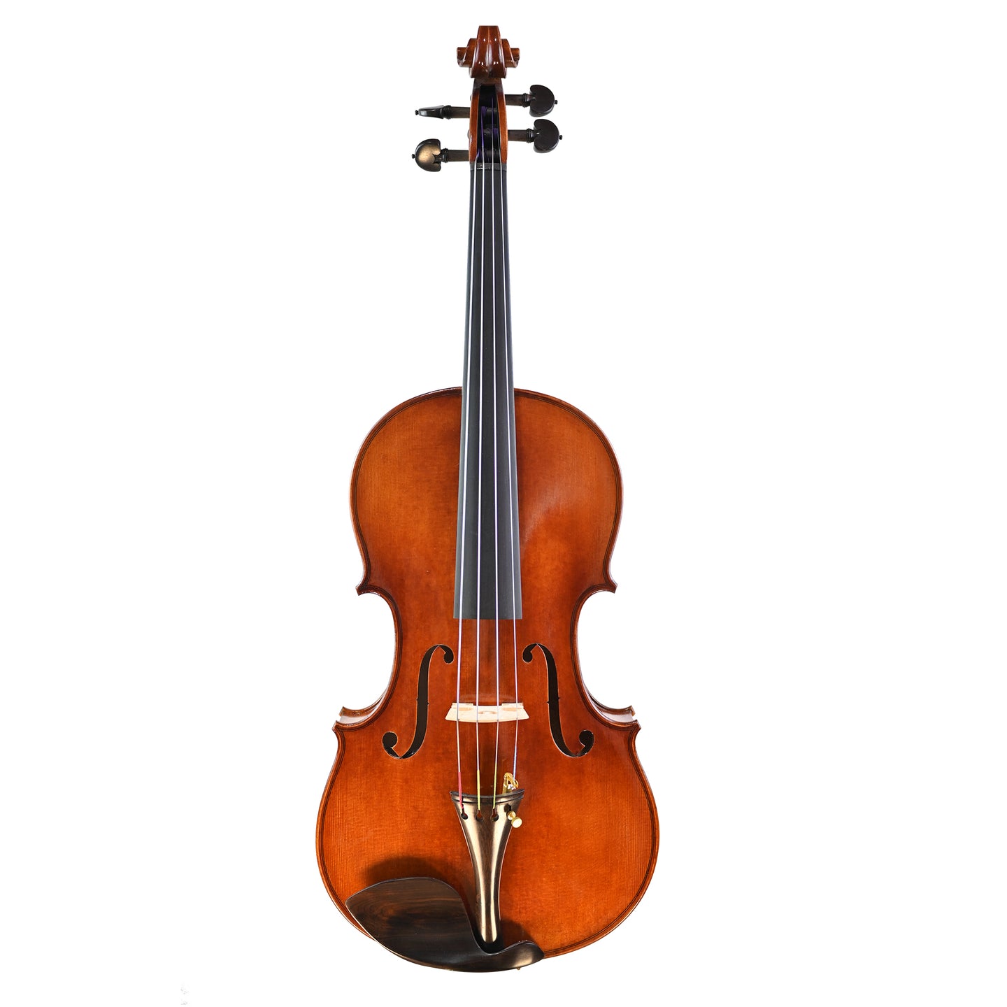 7029 intermediate viola front