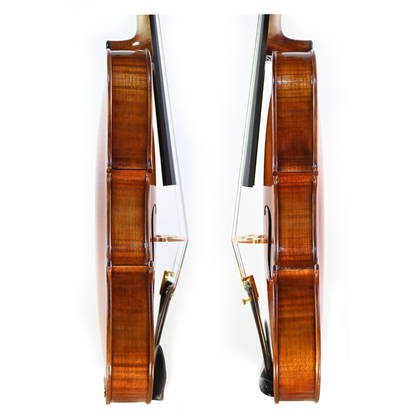 7029 intermediate viola rib