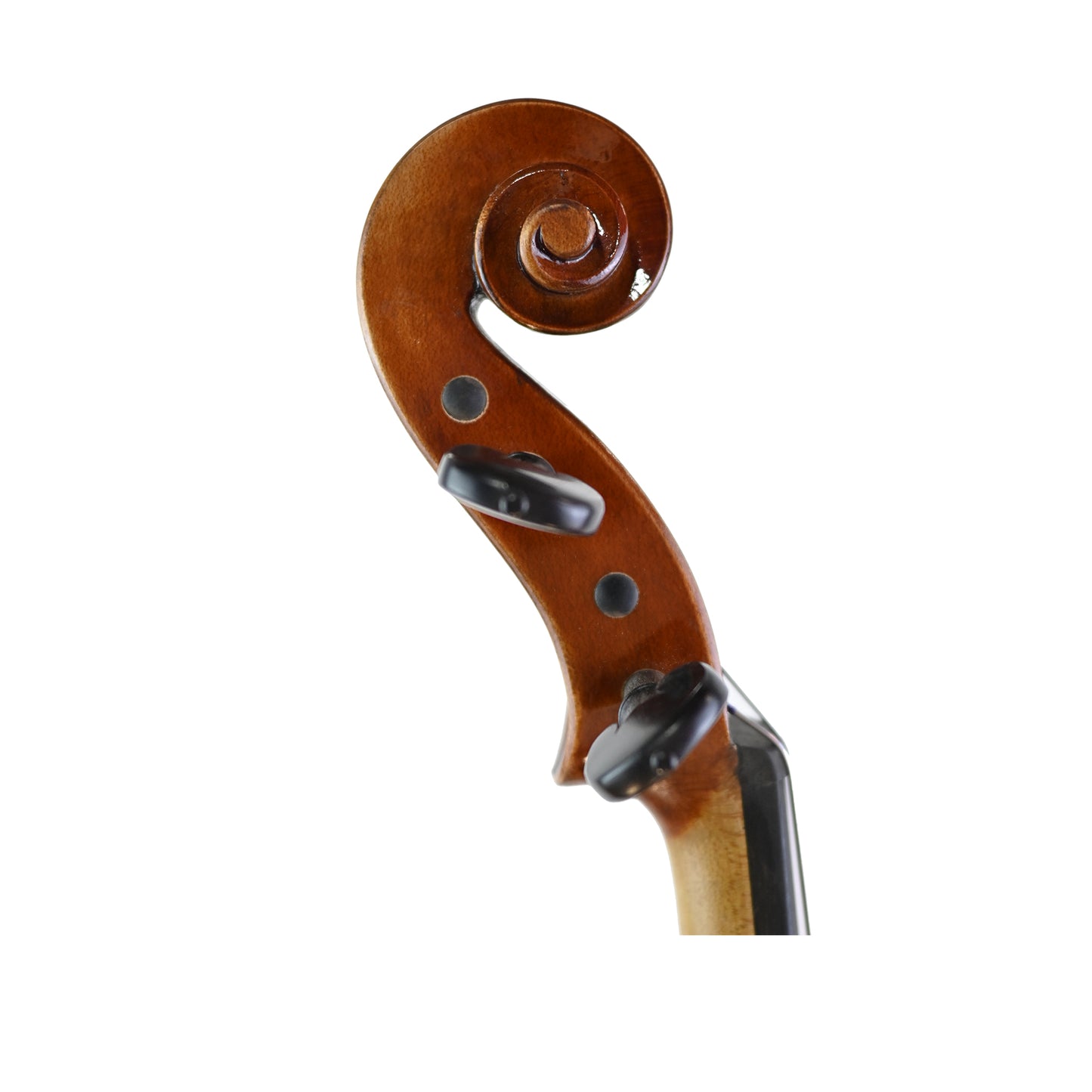 7029 intermediate viola right scroll