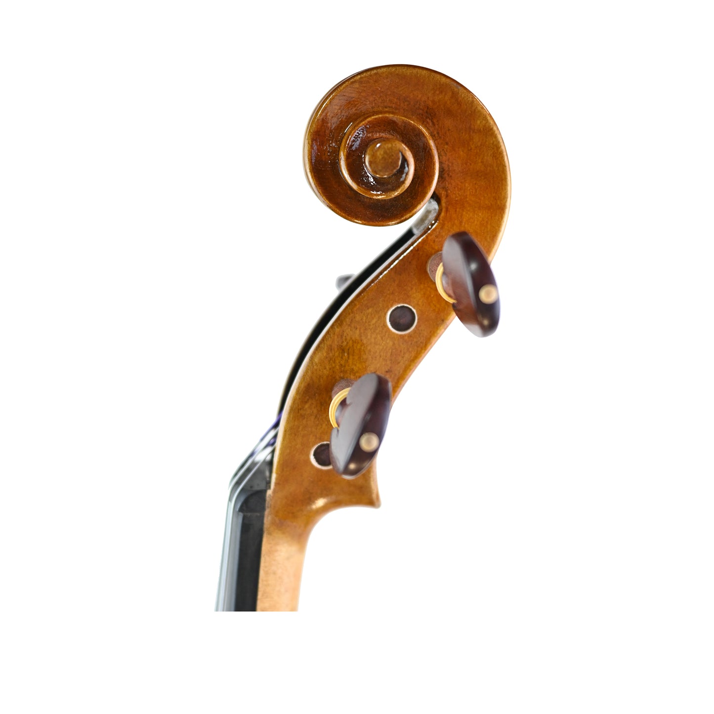 7030 intermediate viola left scroll