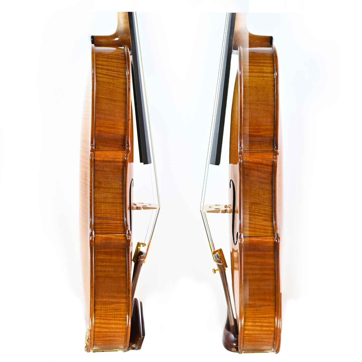 7030 intermediate viola rib