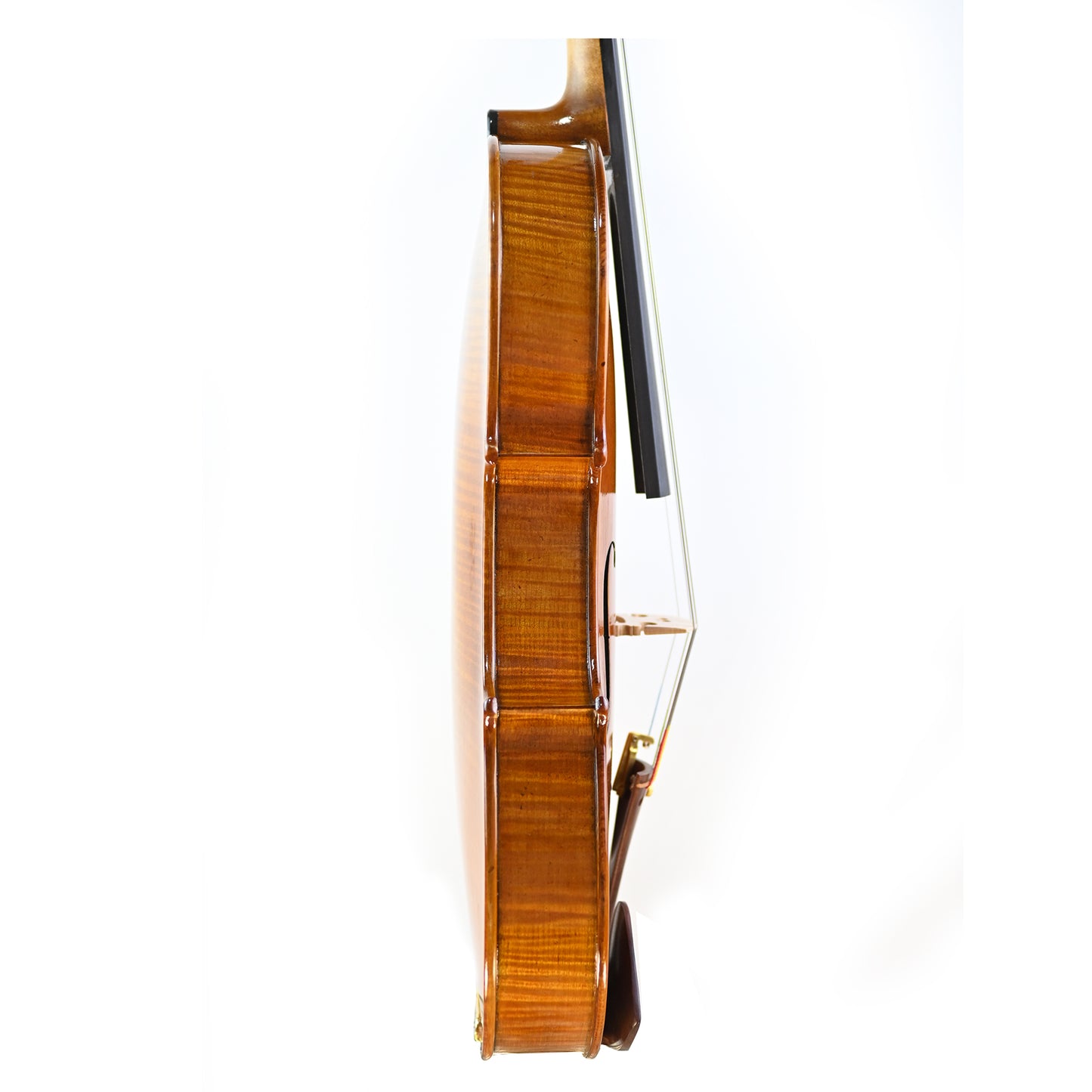 7030 intermediate viola right rib