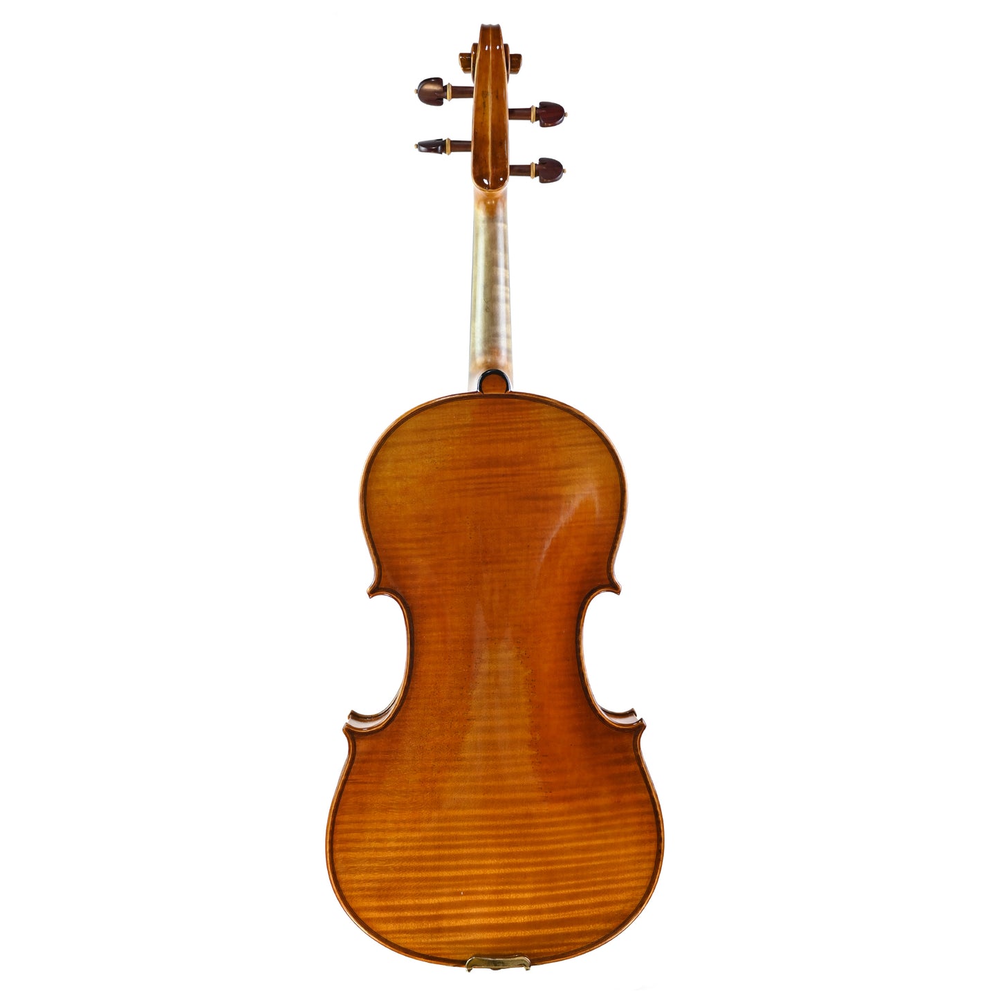 7031 professional viola back