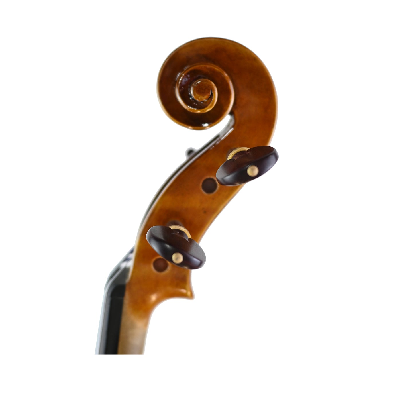  7031 Professional Viola left scroll