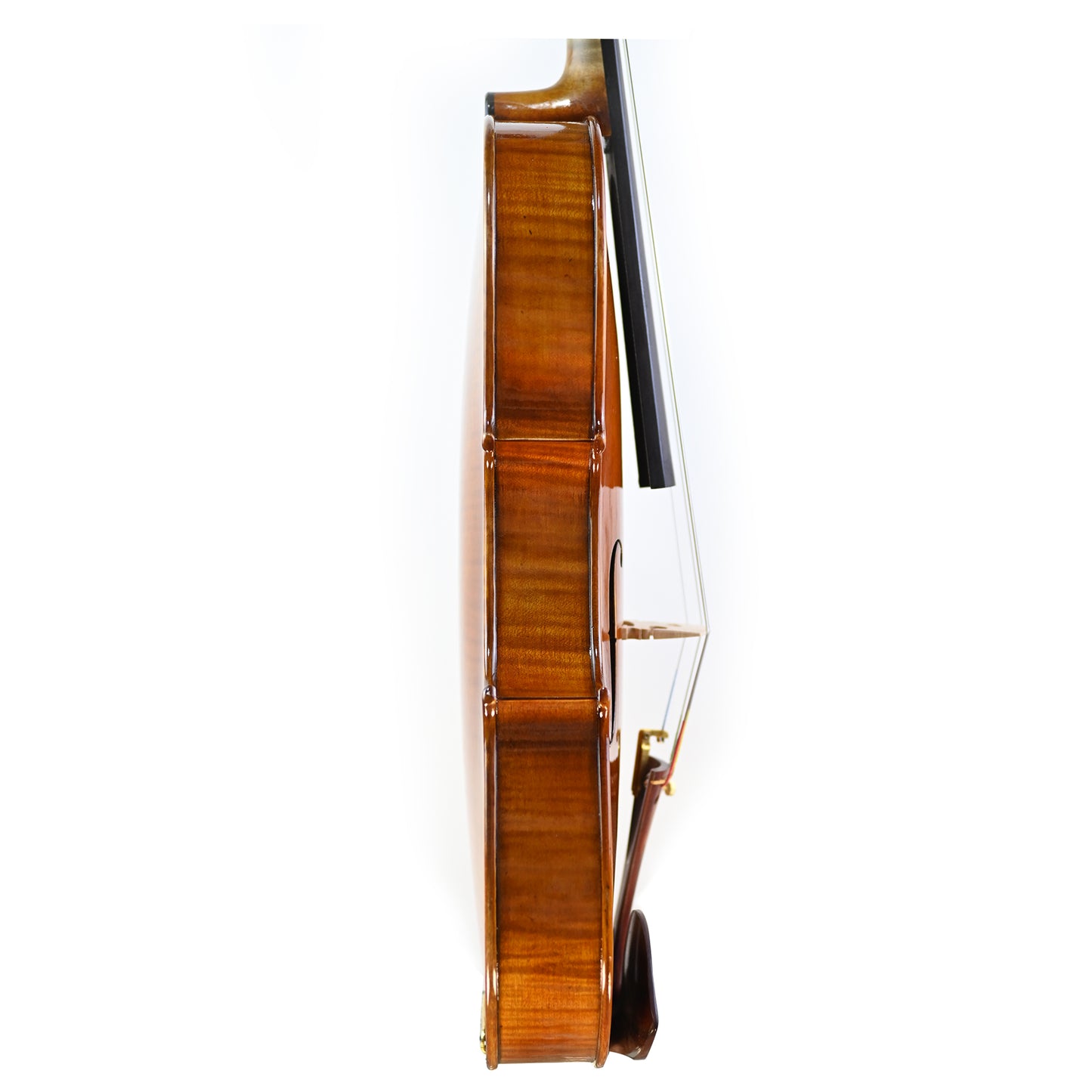  7031 Professional Viola right rib