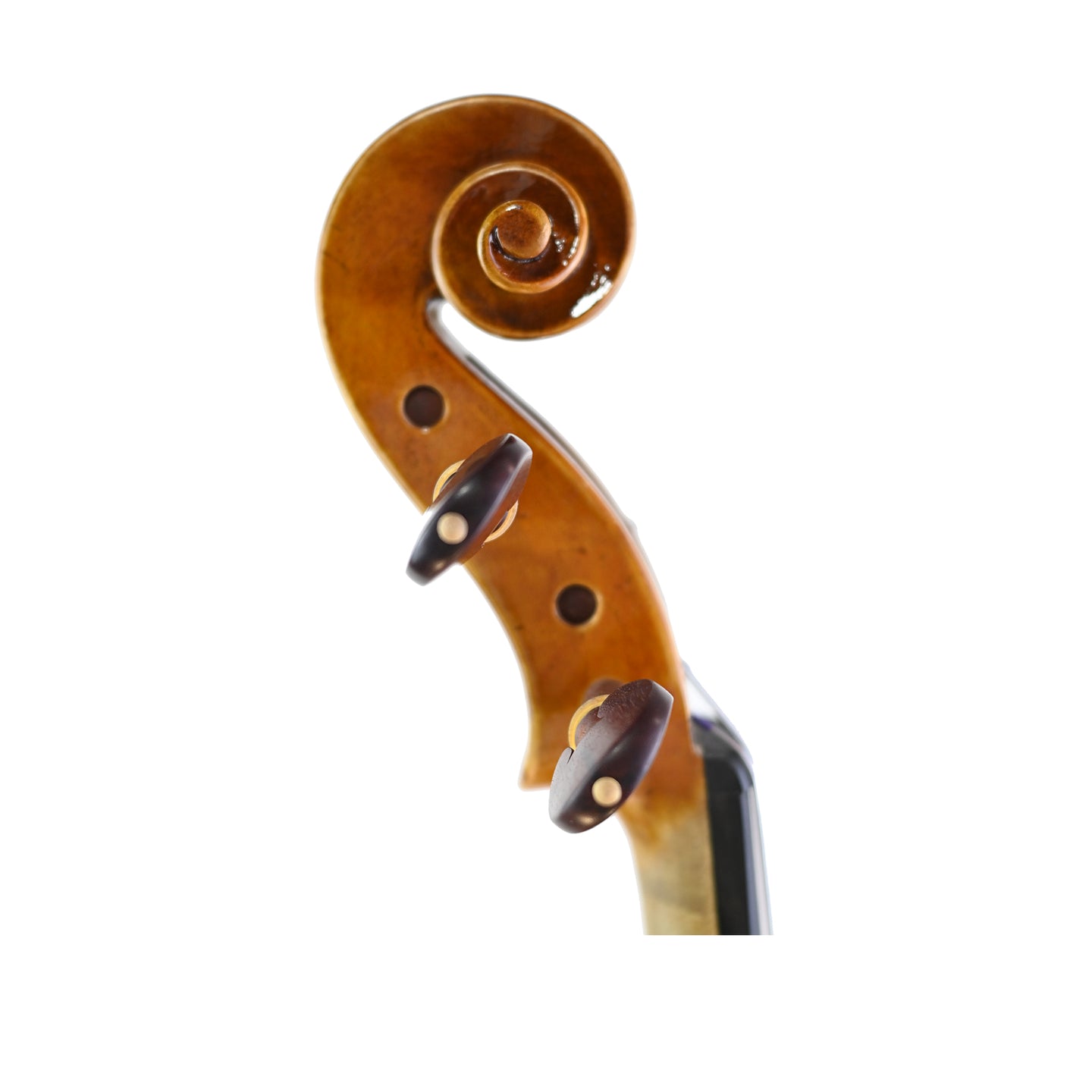  7031 Professional Viola right scroll