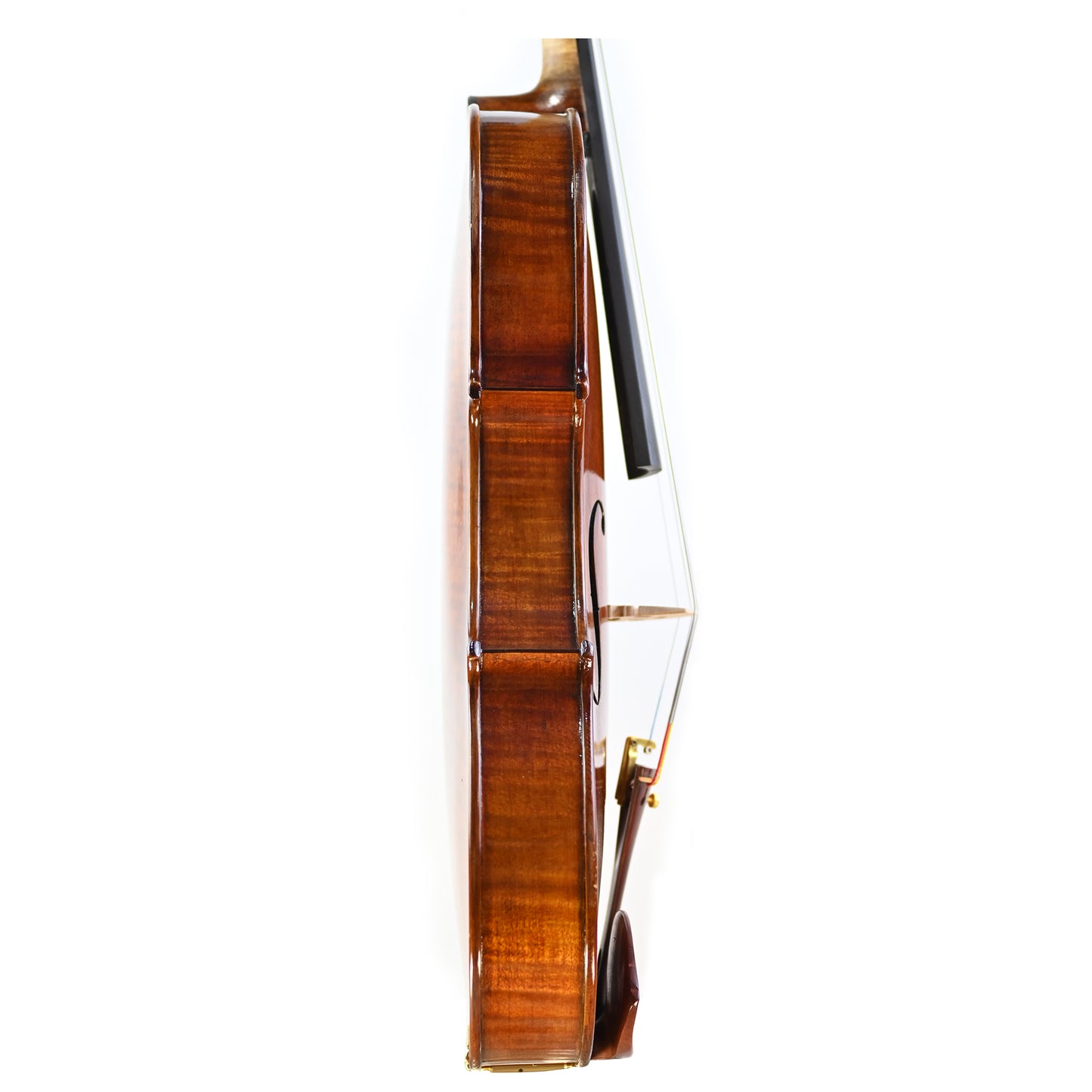 7032 beginner viola right rib