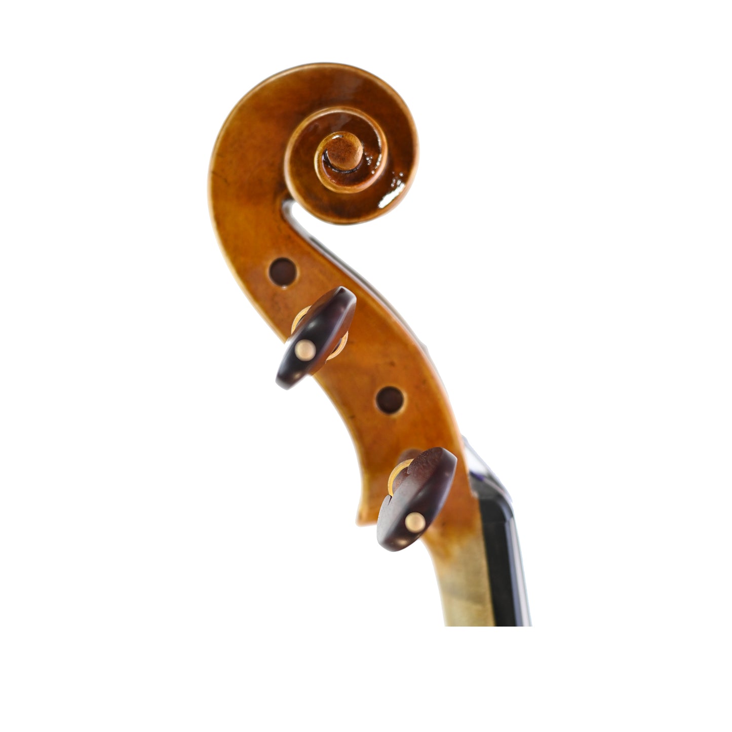 7032 beginner viola right scroll