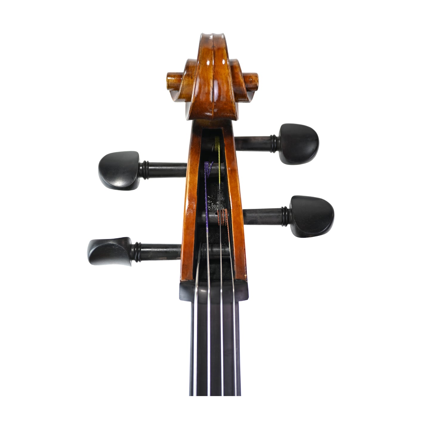 7034 intermediate cello front scroll