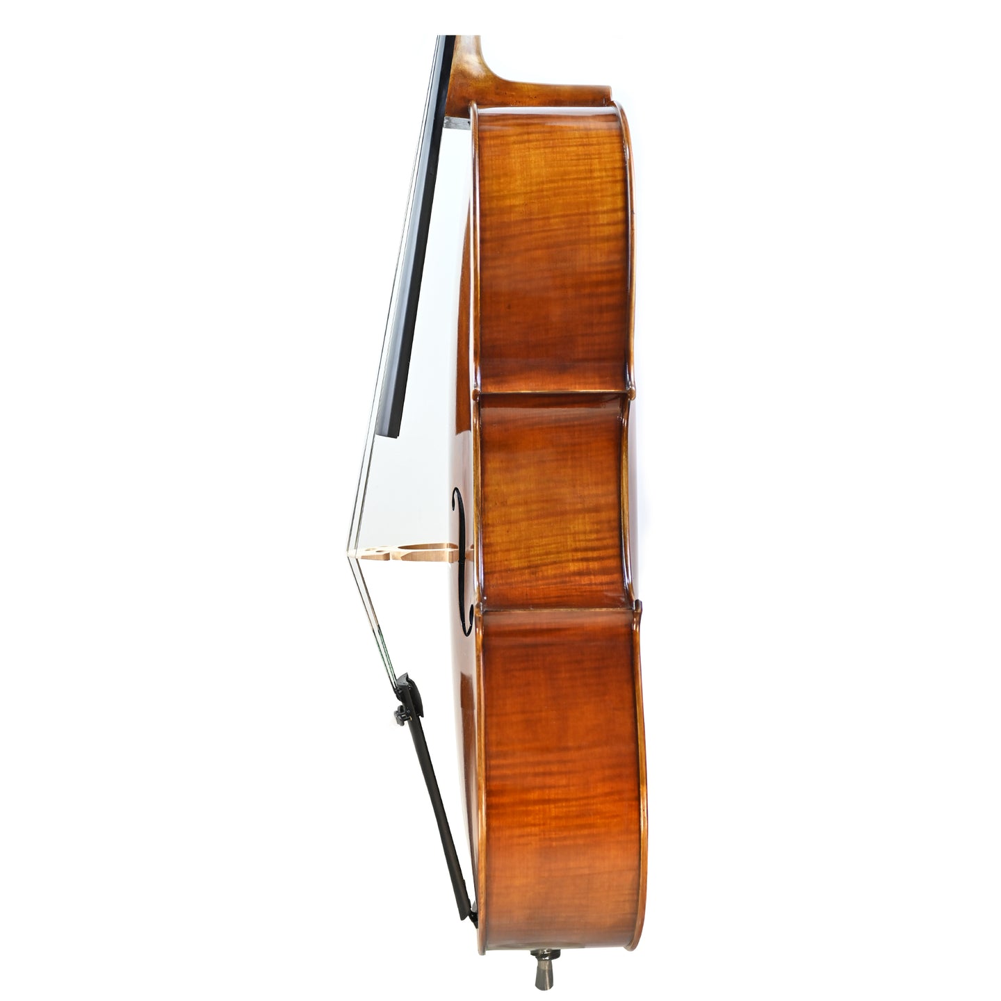 7034 intermediate cello left rib