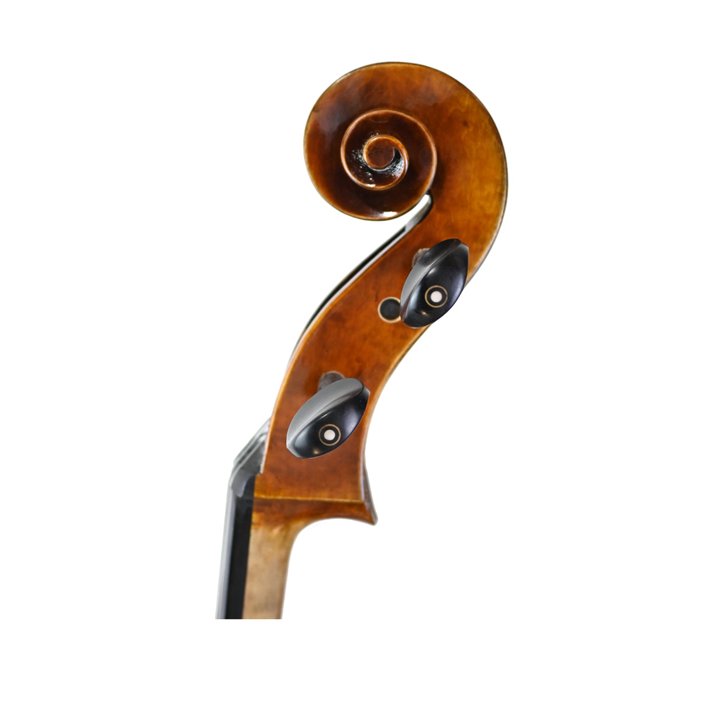 7034 intermediate cello left scroll