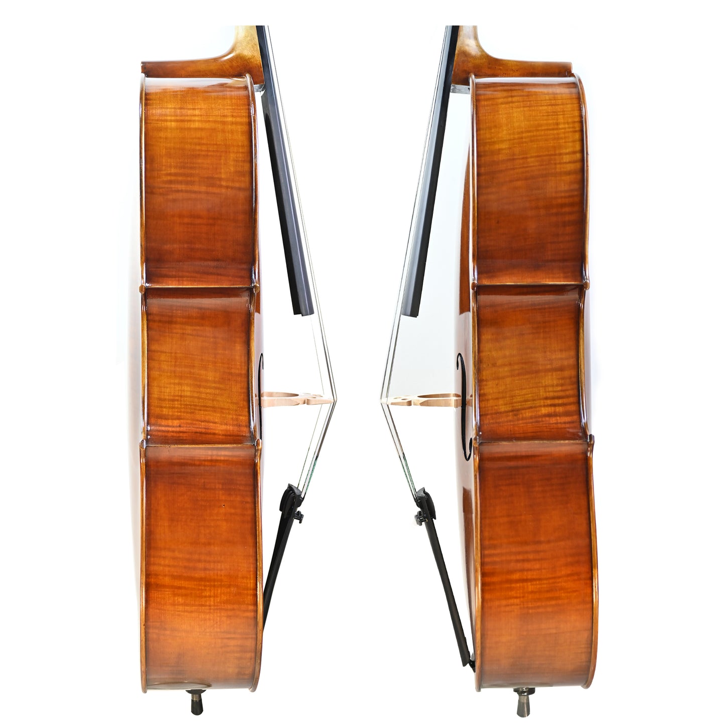 7034 intermediate cello rib