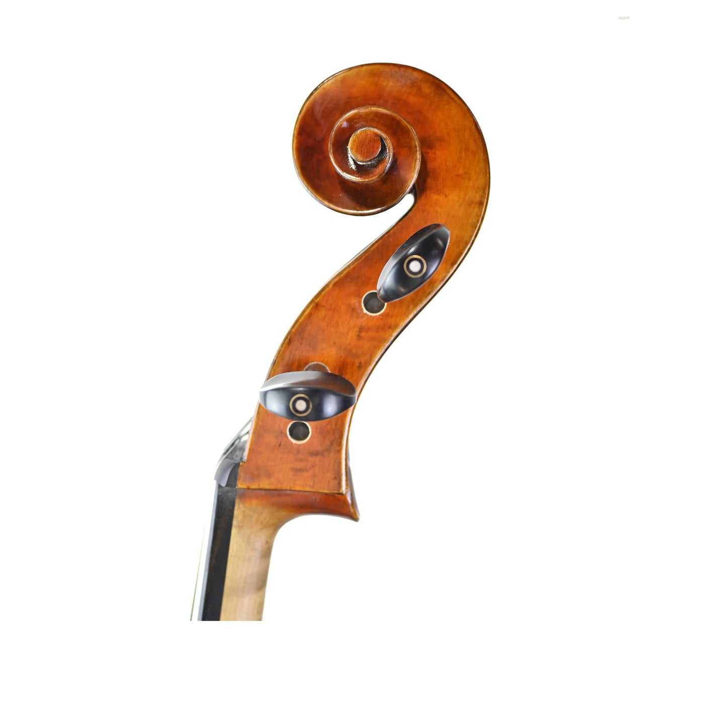 7035 intermediate cello left scroll