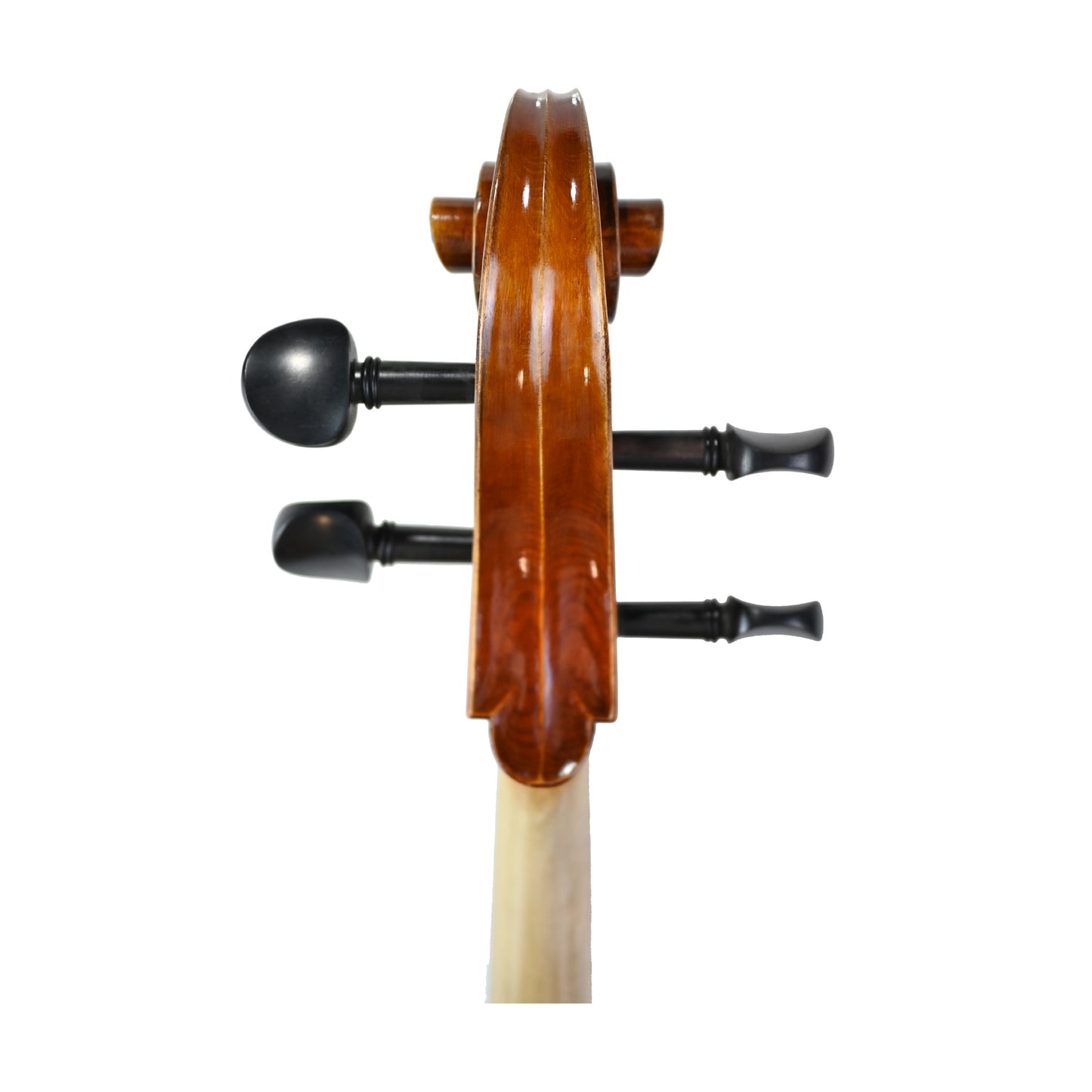 7036 intermediate cello back scroll