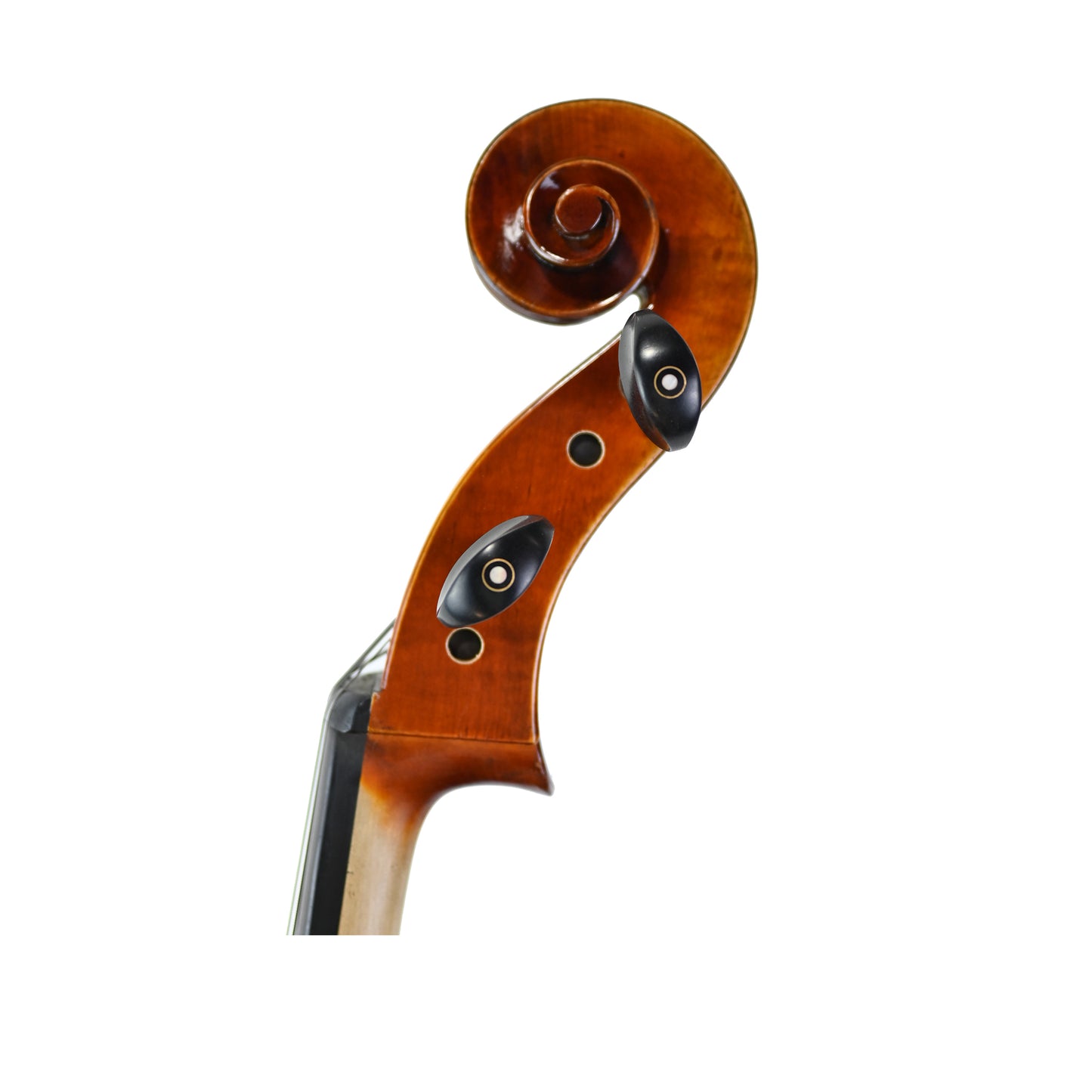 7036 intermediate cello left scroll