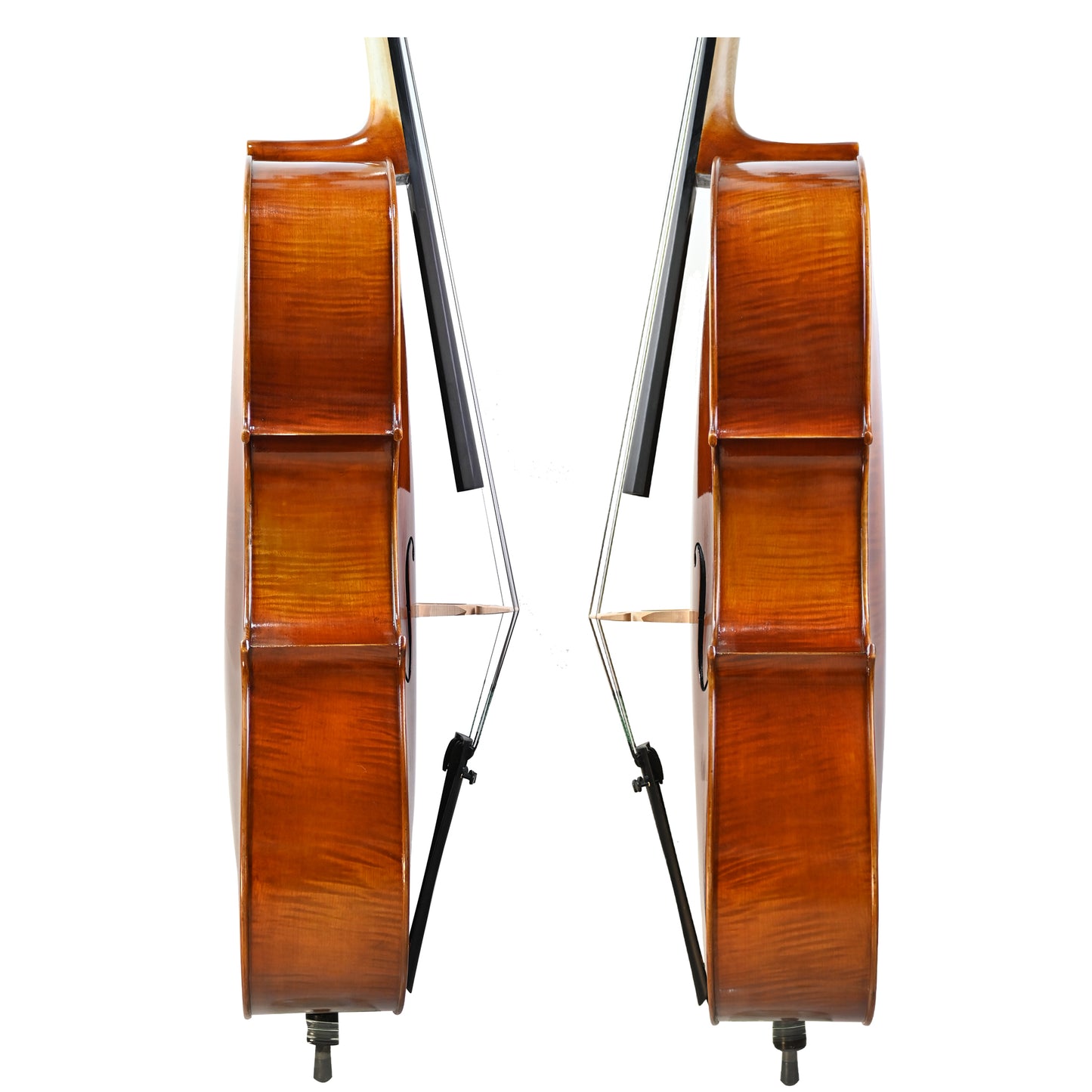 7036 intermediate cello rib