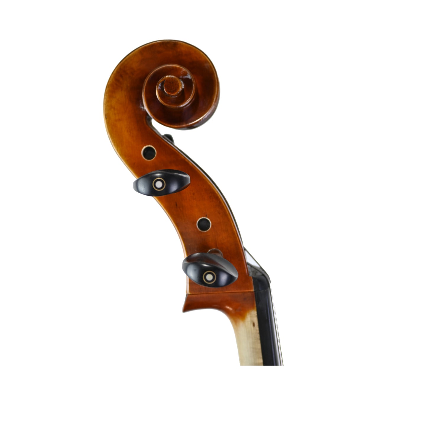 7036 intermediate cello right scroll