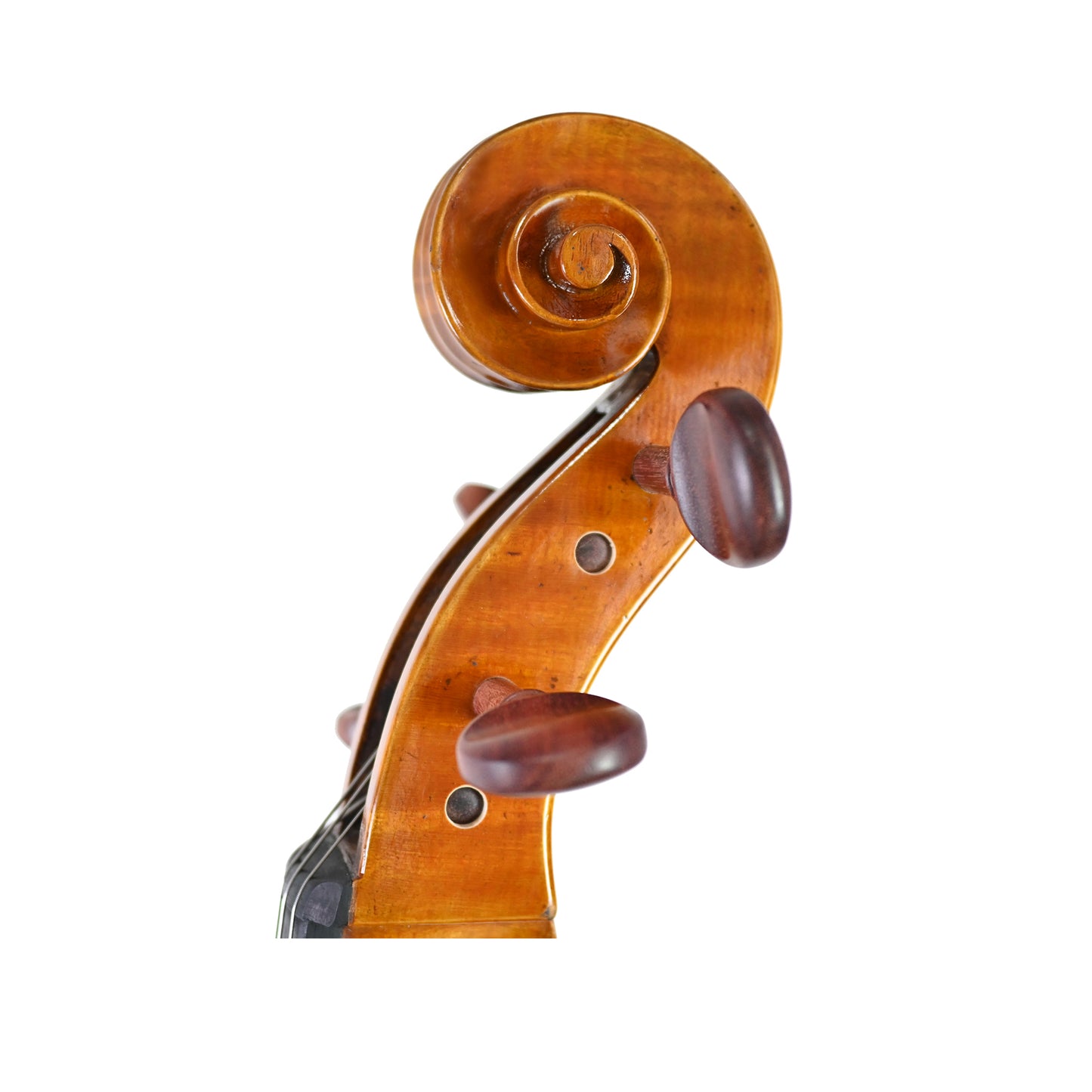 JYR 7050 Strad Cello With Shell Purfling