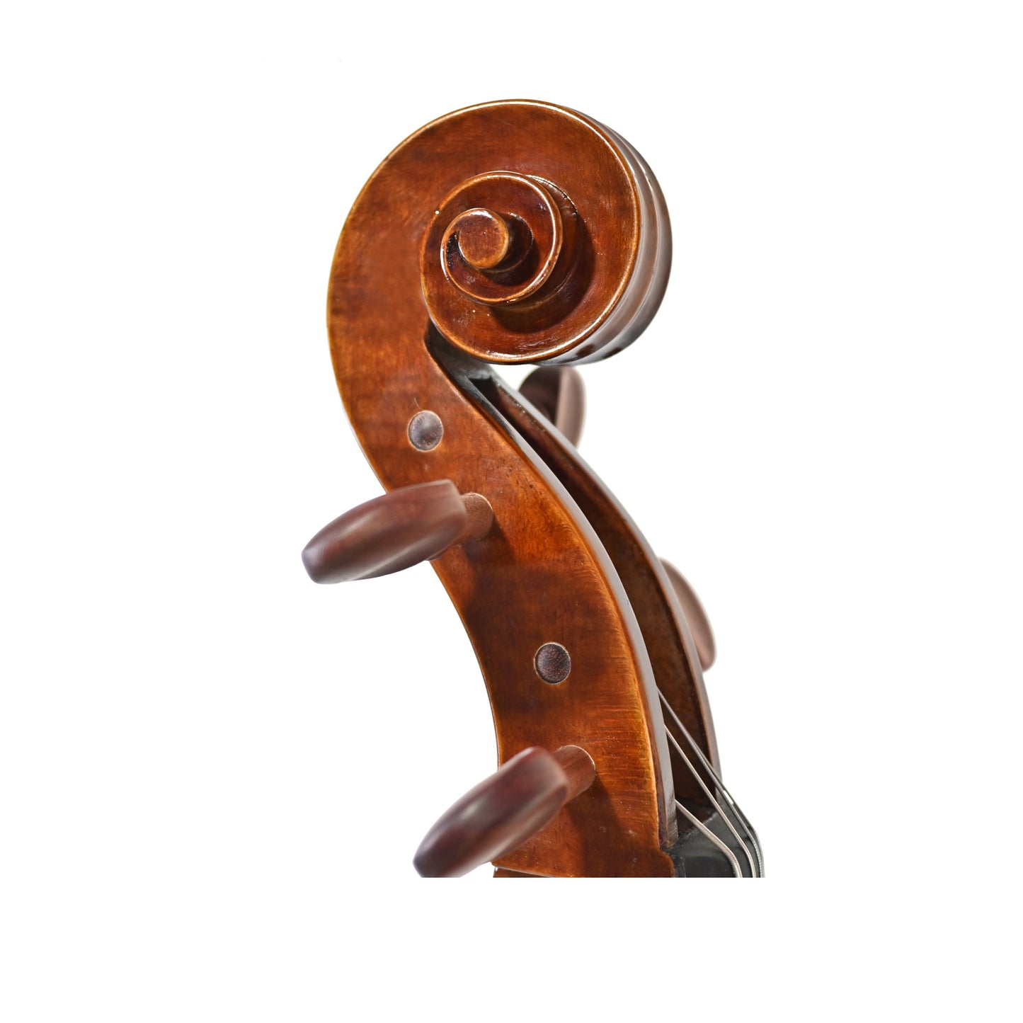 JYR 7051 Guarneri Cello