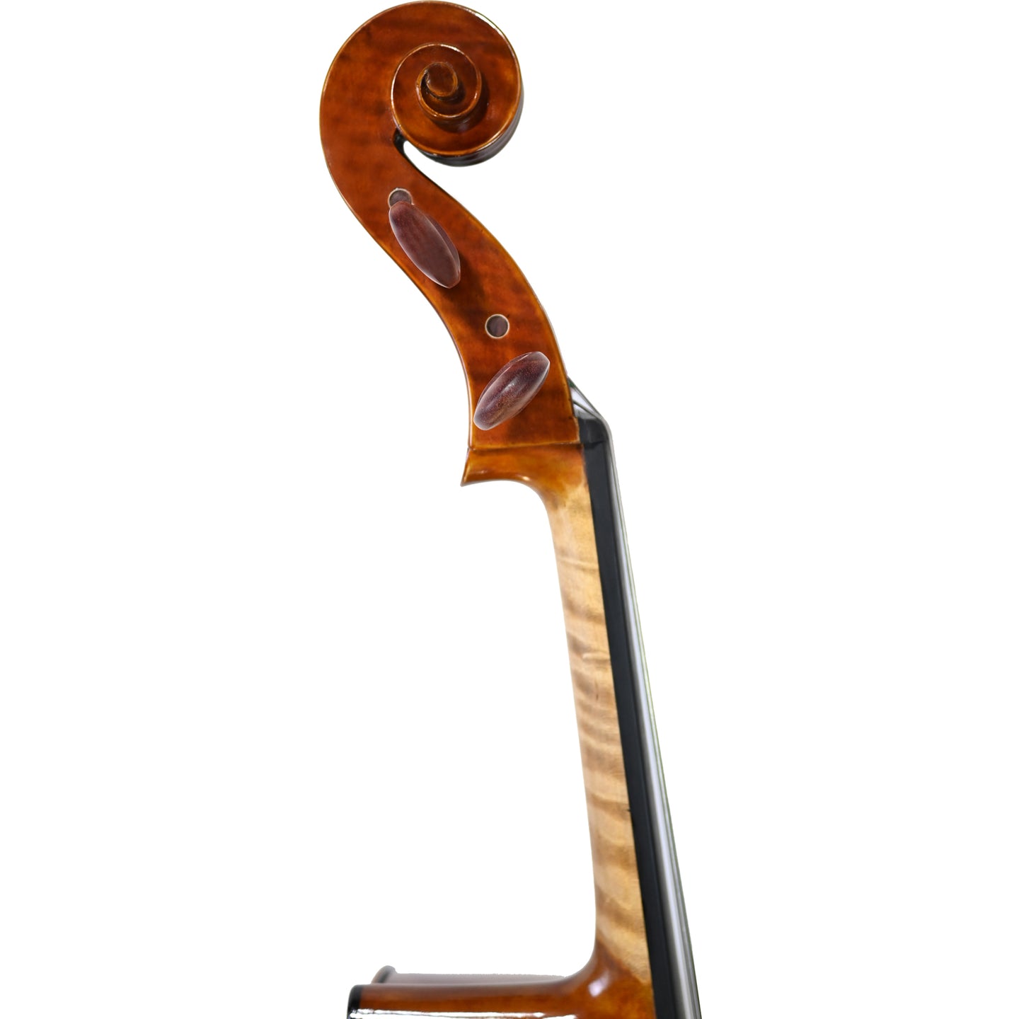 JYR 7053 Strad Professional Cello For Soloist