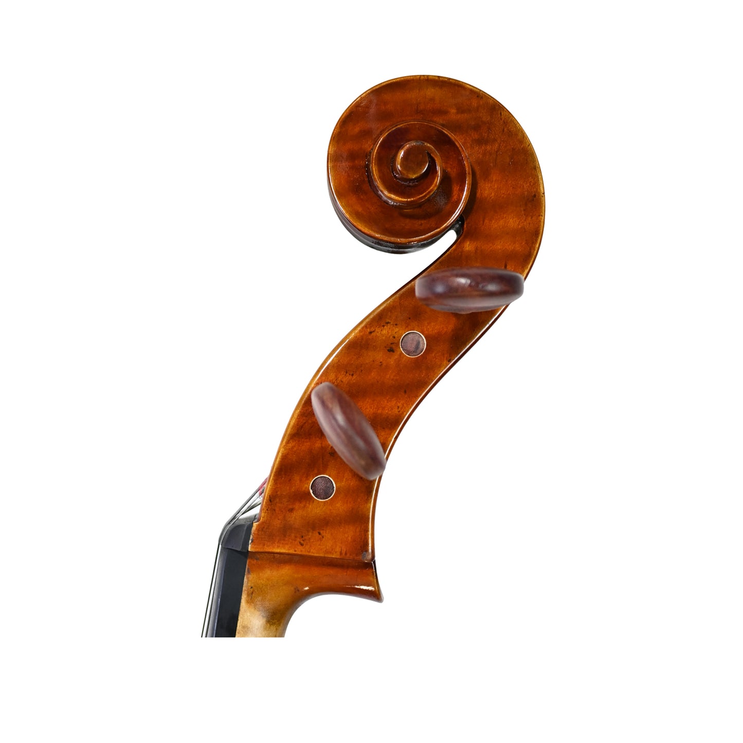 JYR 7053 Strad Professional Cello For Soloist