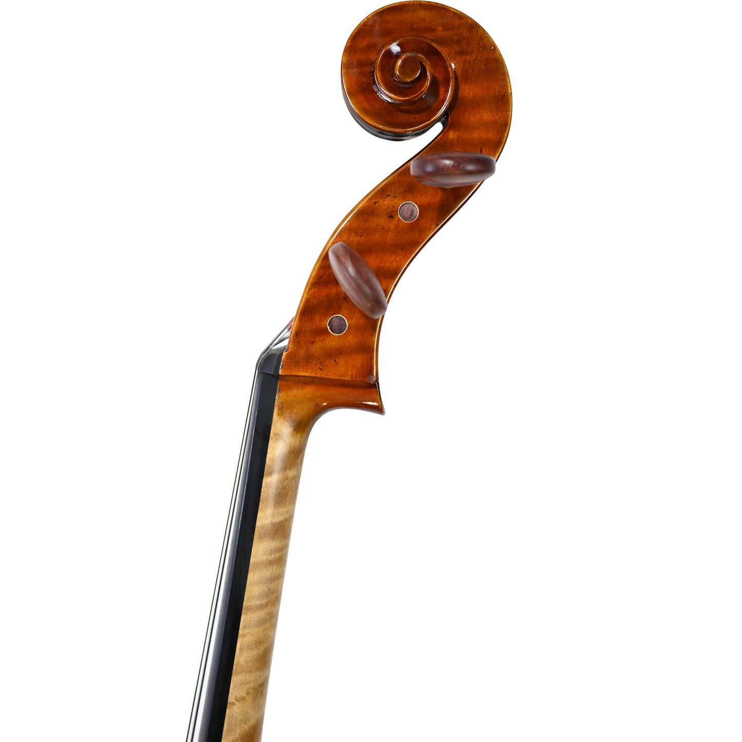 JYR 7053 Strad Professional Cello For Soloist