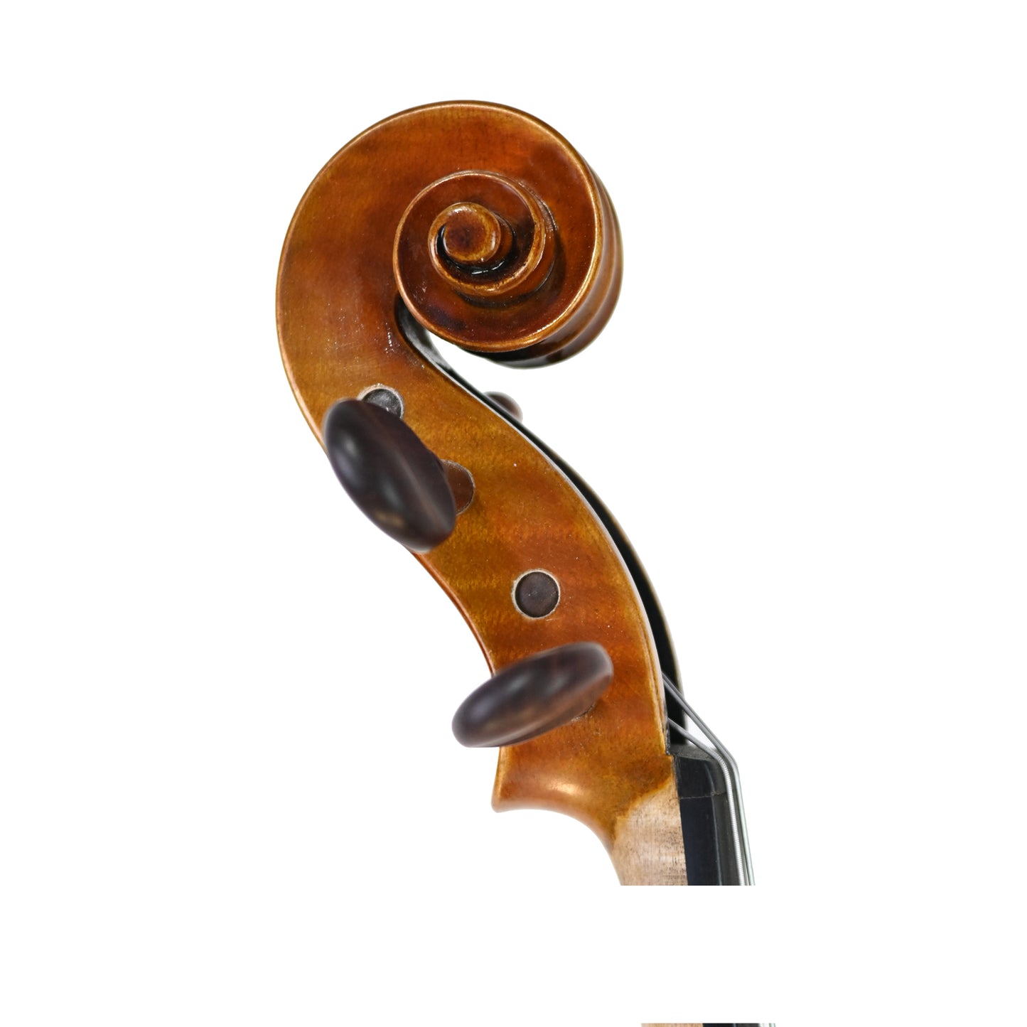 JYR 7054 Professional Strad Violin