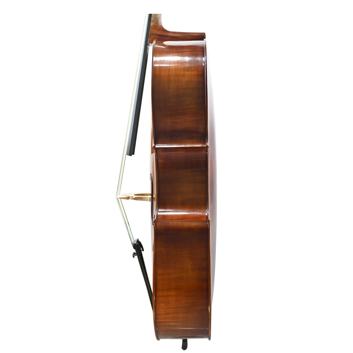 JYR 7044 Hot Selling Intermediate Strad Cello