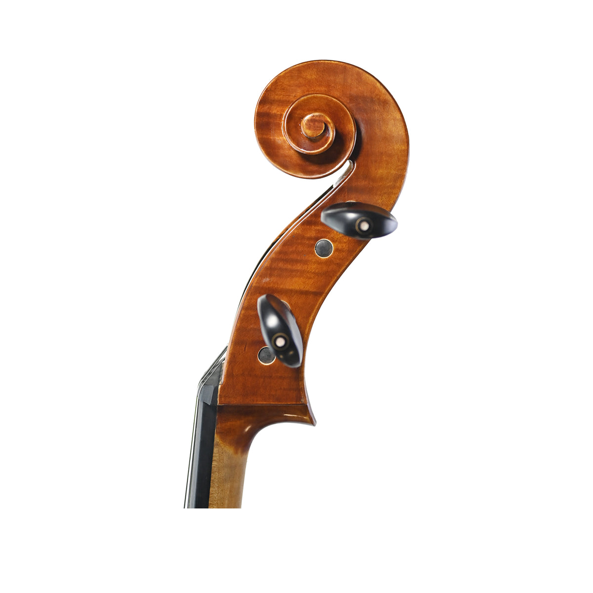 Jyr JYR 7044 Popular Conservatory Cello – JYR MUSIC